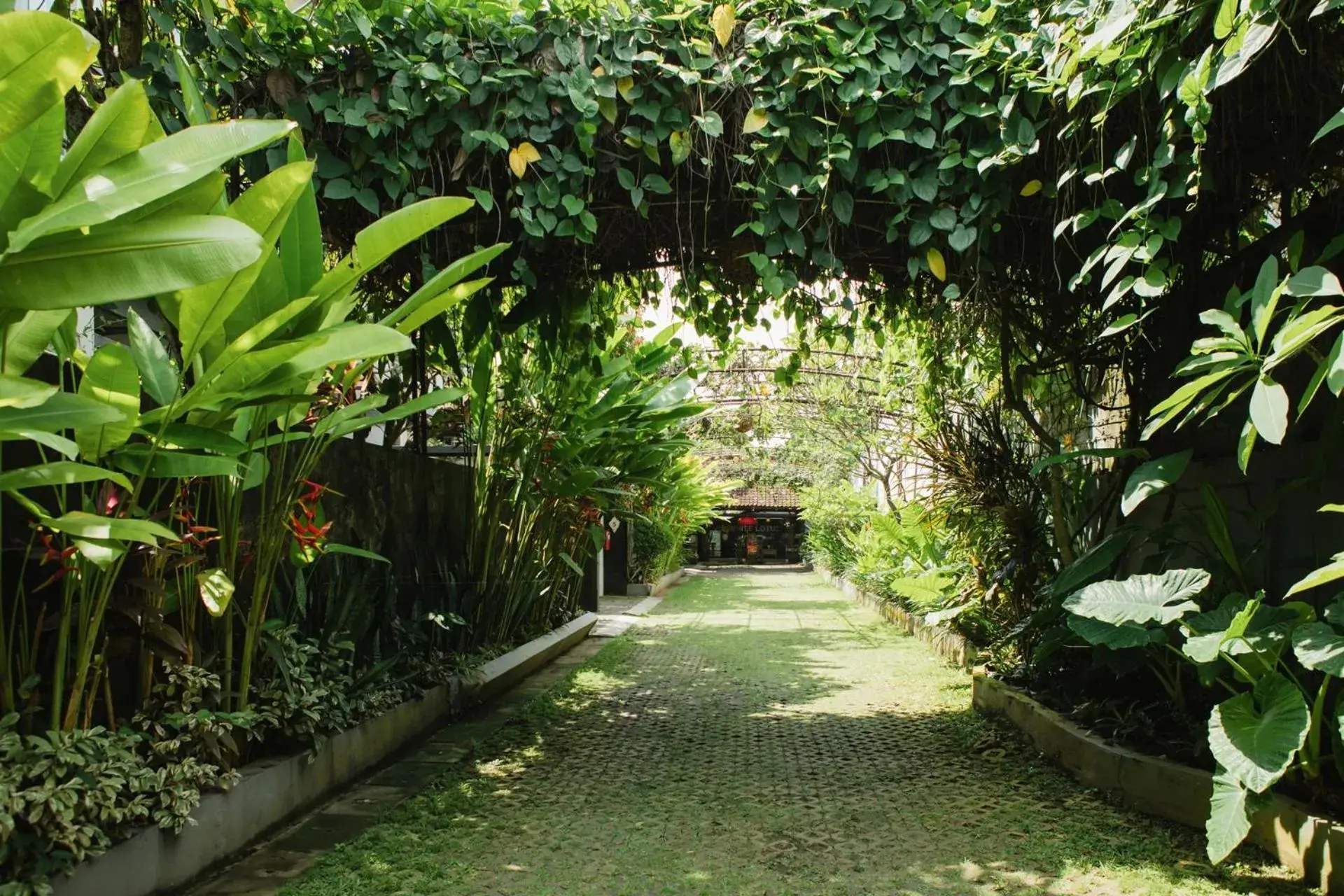 Facade/entrance in White Lotus Villas Seminyak Facade/entrance in White Lotus Villas Seminyak