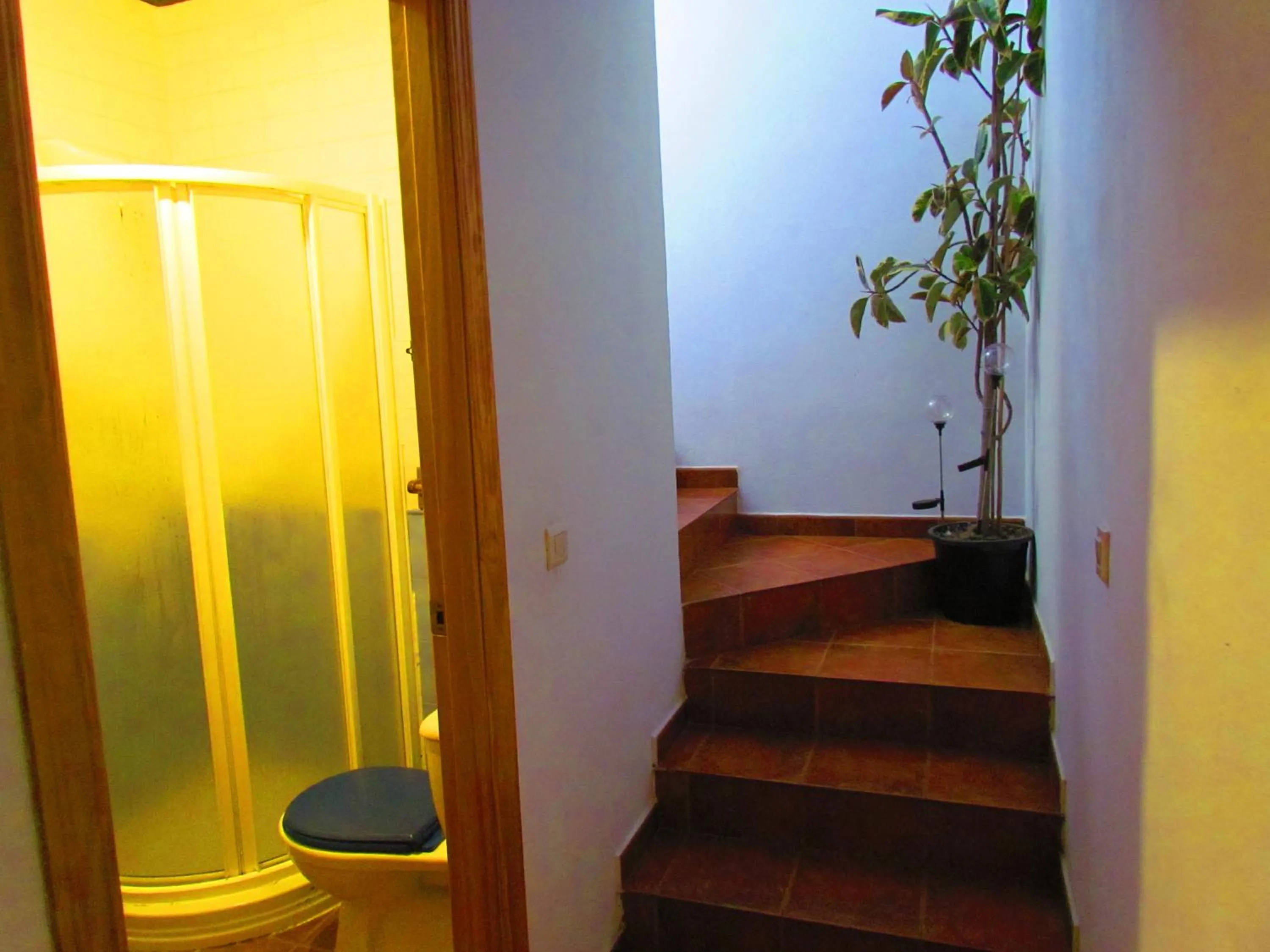 Decorative detail in Apartamentos Casas Rurales "Paraje San Blas" TR-BA-00166