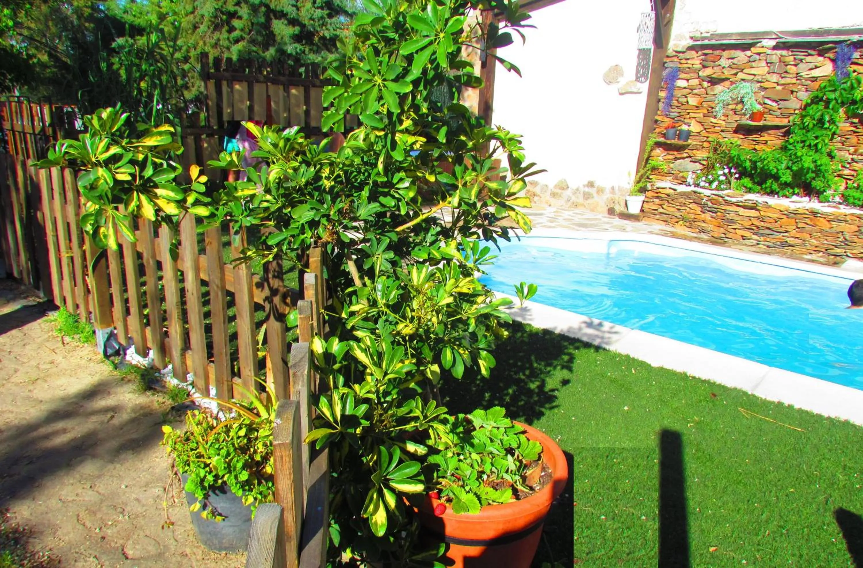 Garden in Apartamentos Casas Rurales "Paraje San Blas" TR-BA-00166