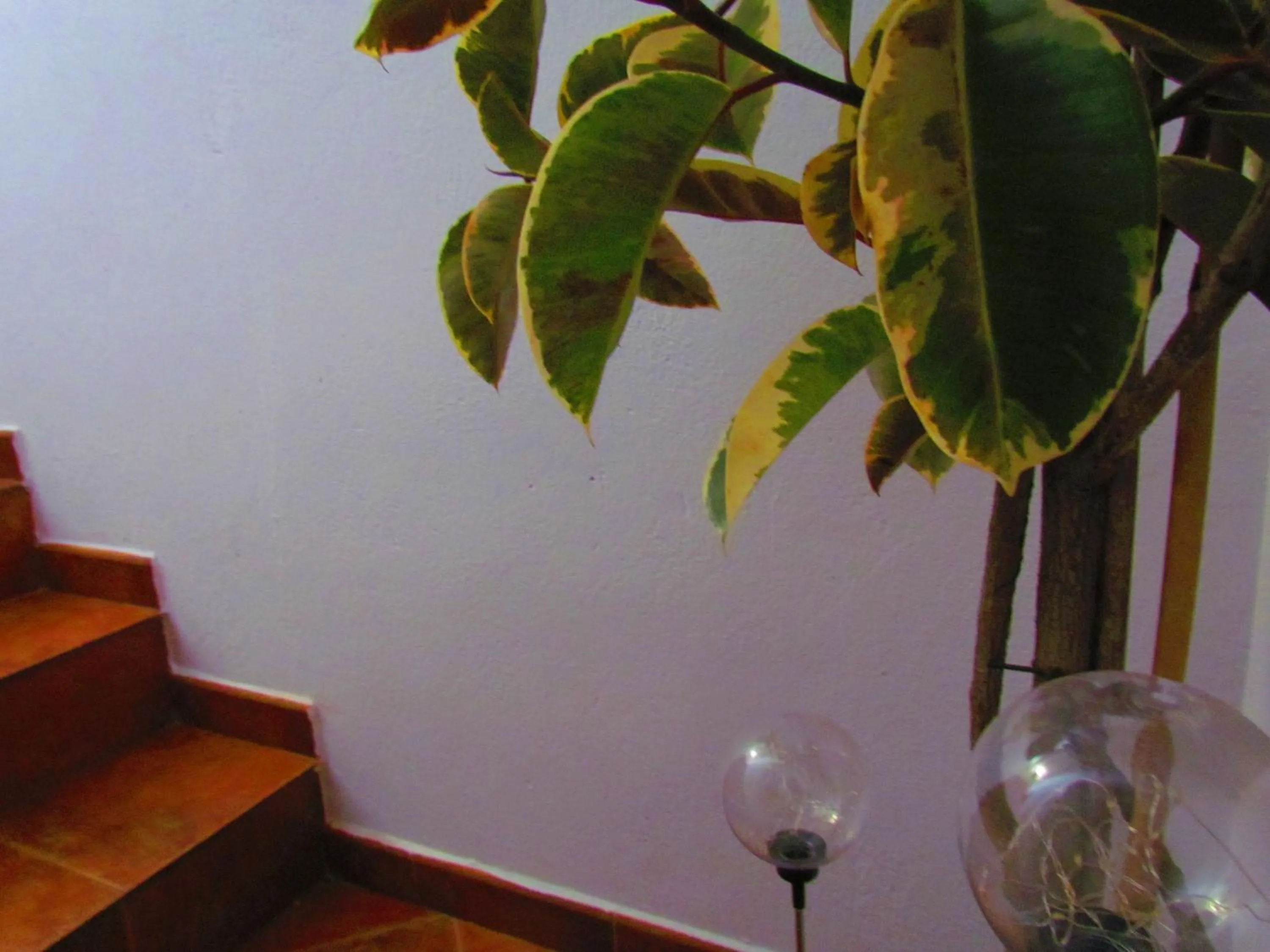 Decorative detail in Apartamentos Casas Rurales "Paraje San Blas" TR-BA-00166