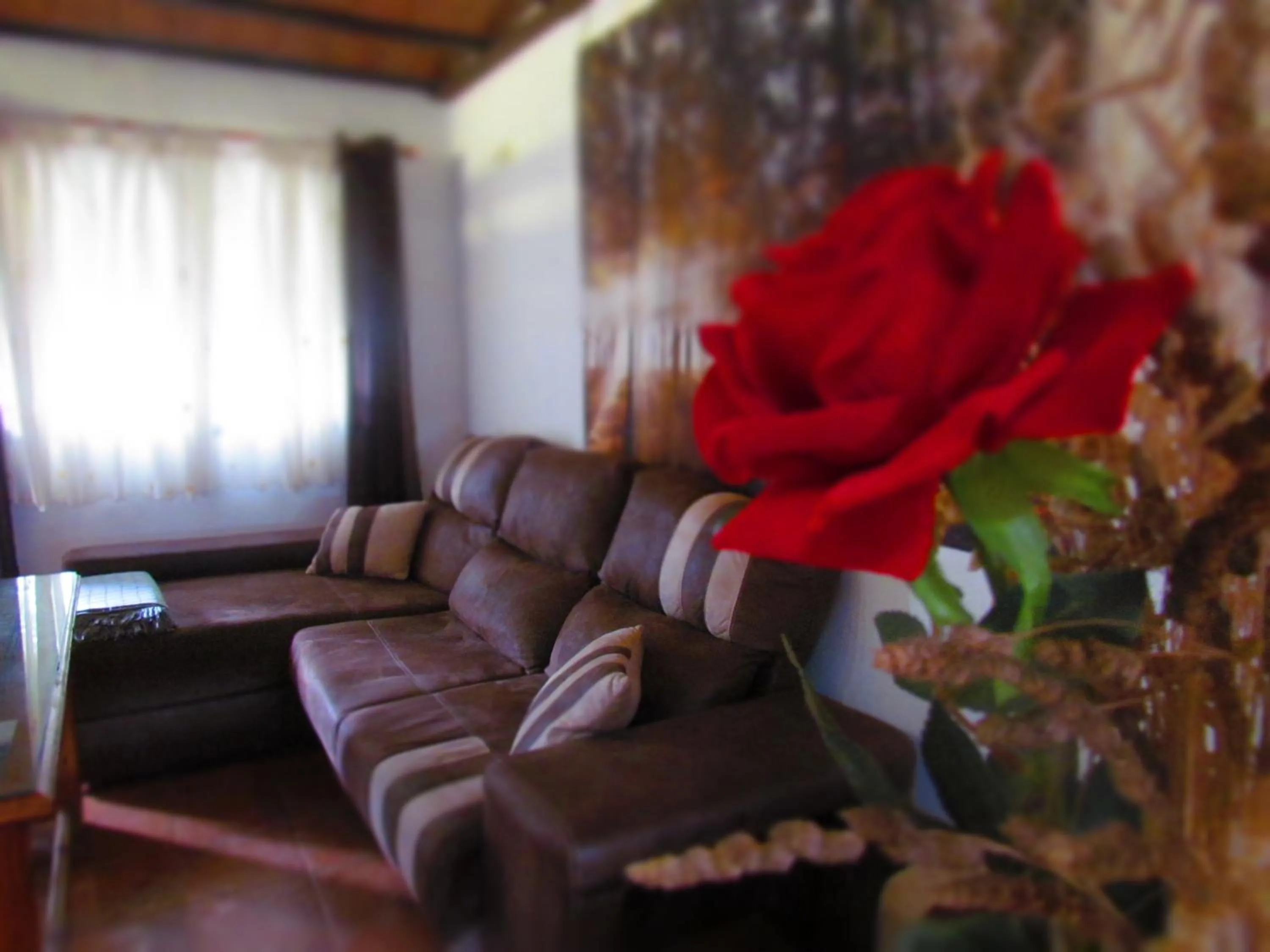 Decorative detail in Apartamentos Casas Rurales "Paraje San Blas" TR-BA-00166