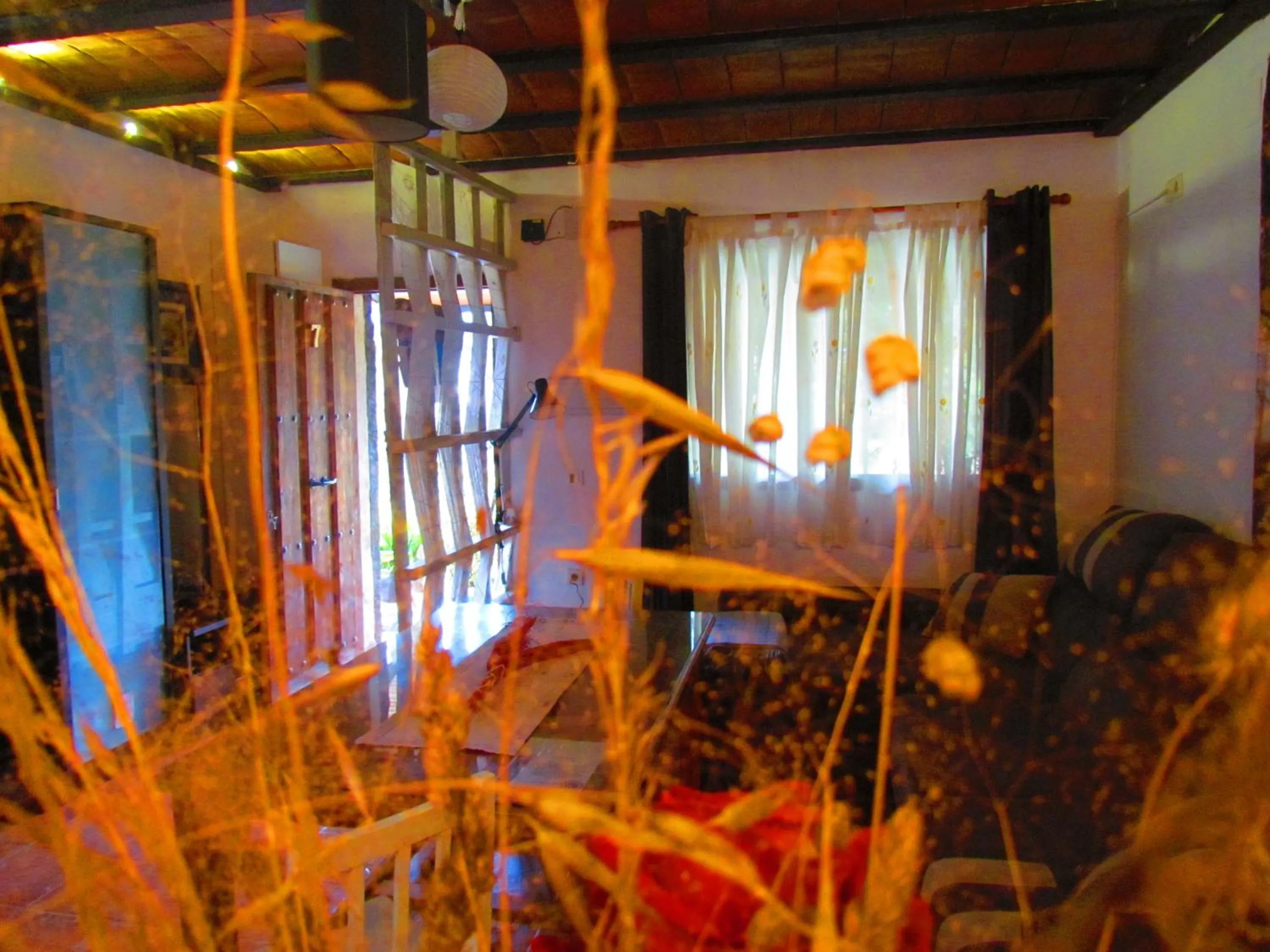 Decorative detail in Apartamentos Casas Rurales "Paraje San Blas" TR-BA-00166