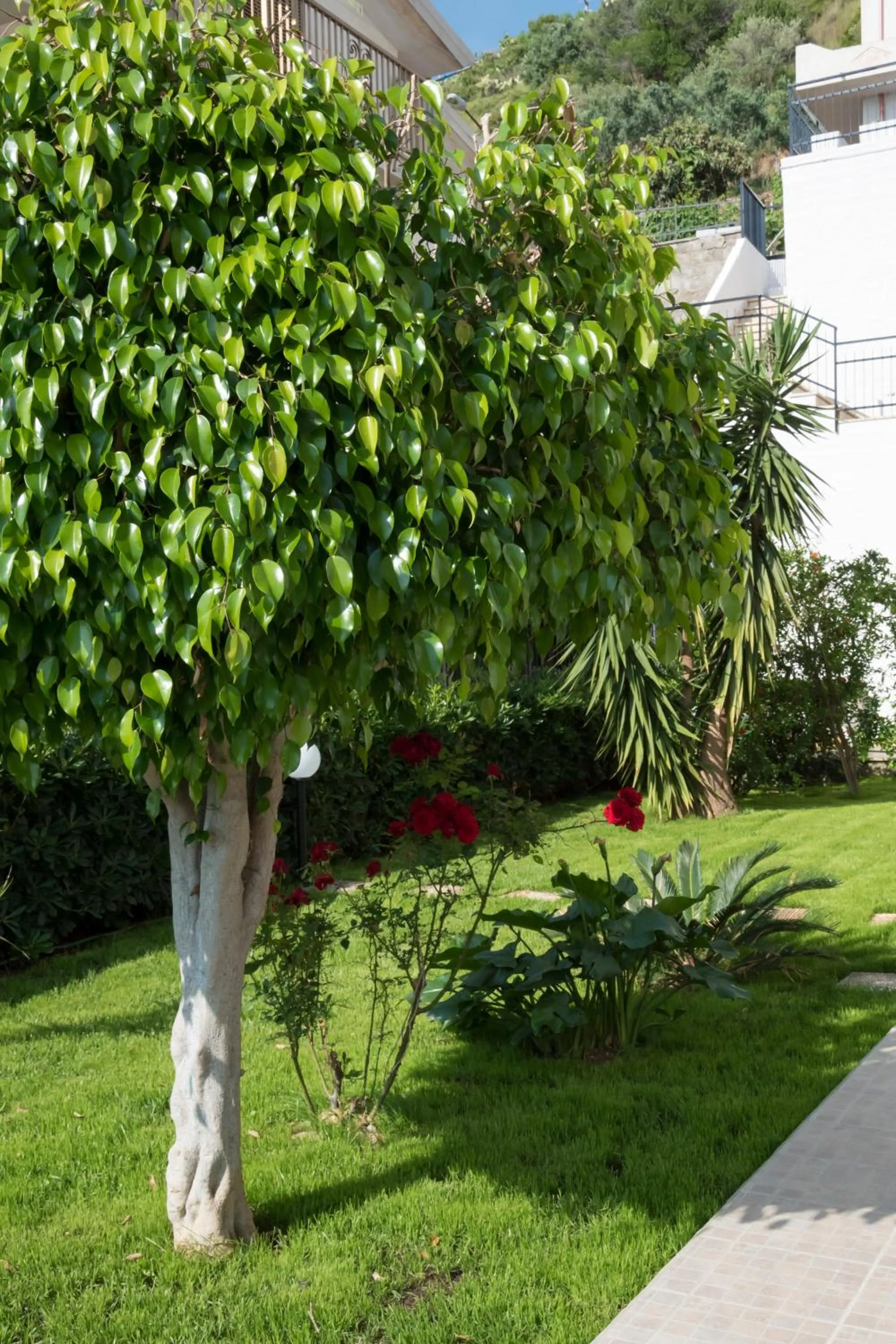 Garden view in L'oasi di Giorgia
