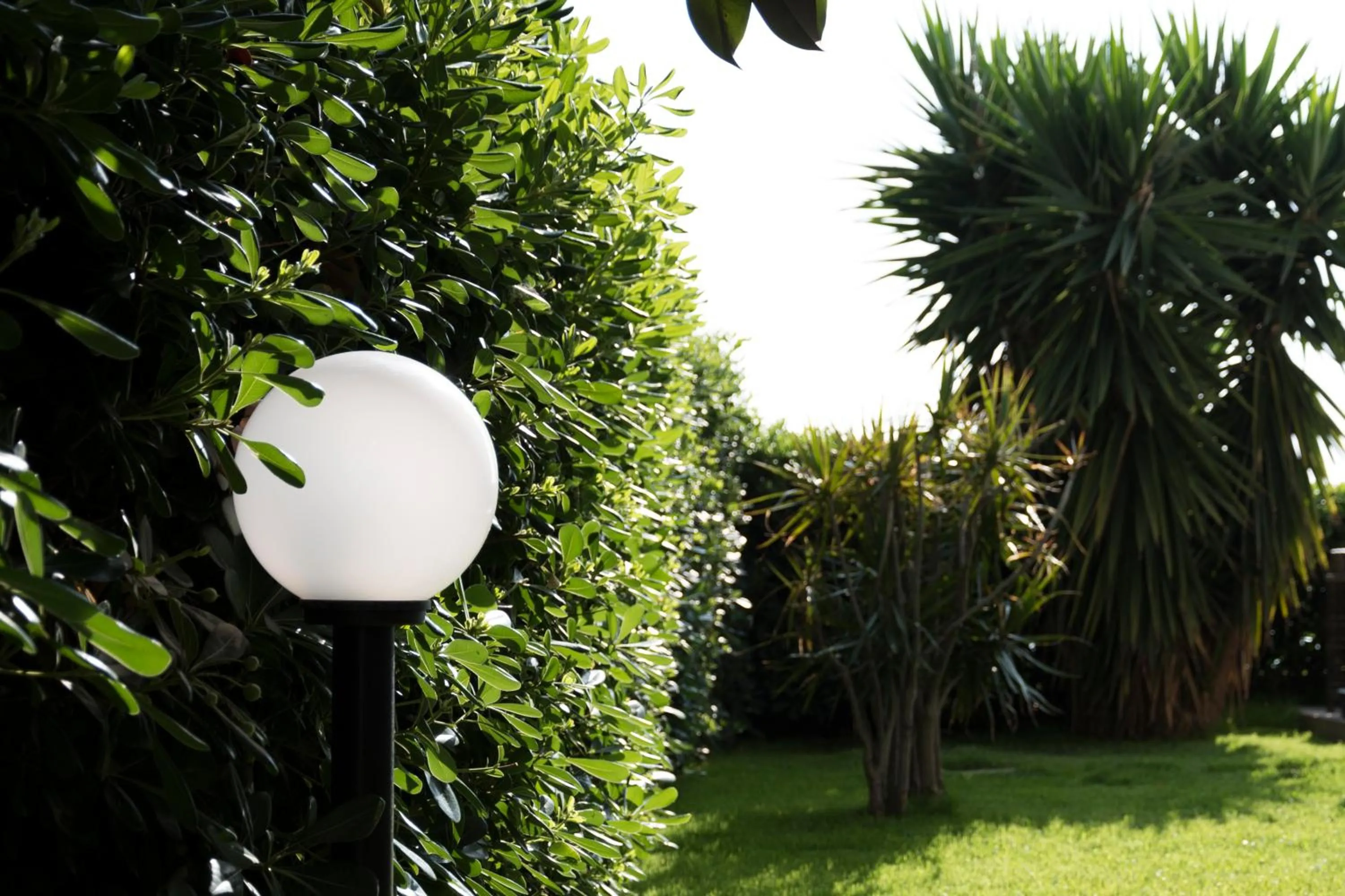 Garden view in L'oasi di Giorgia