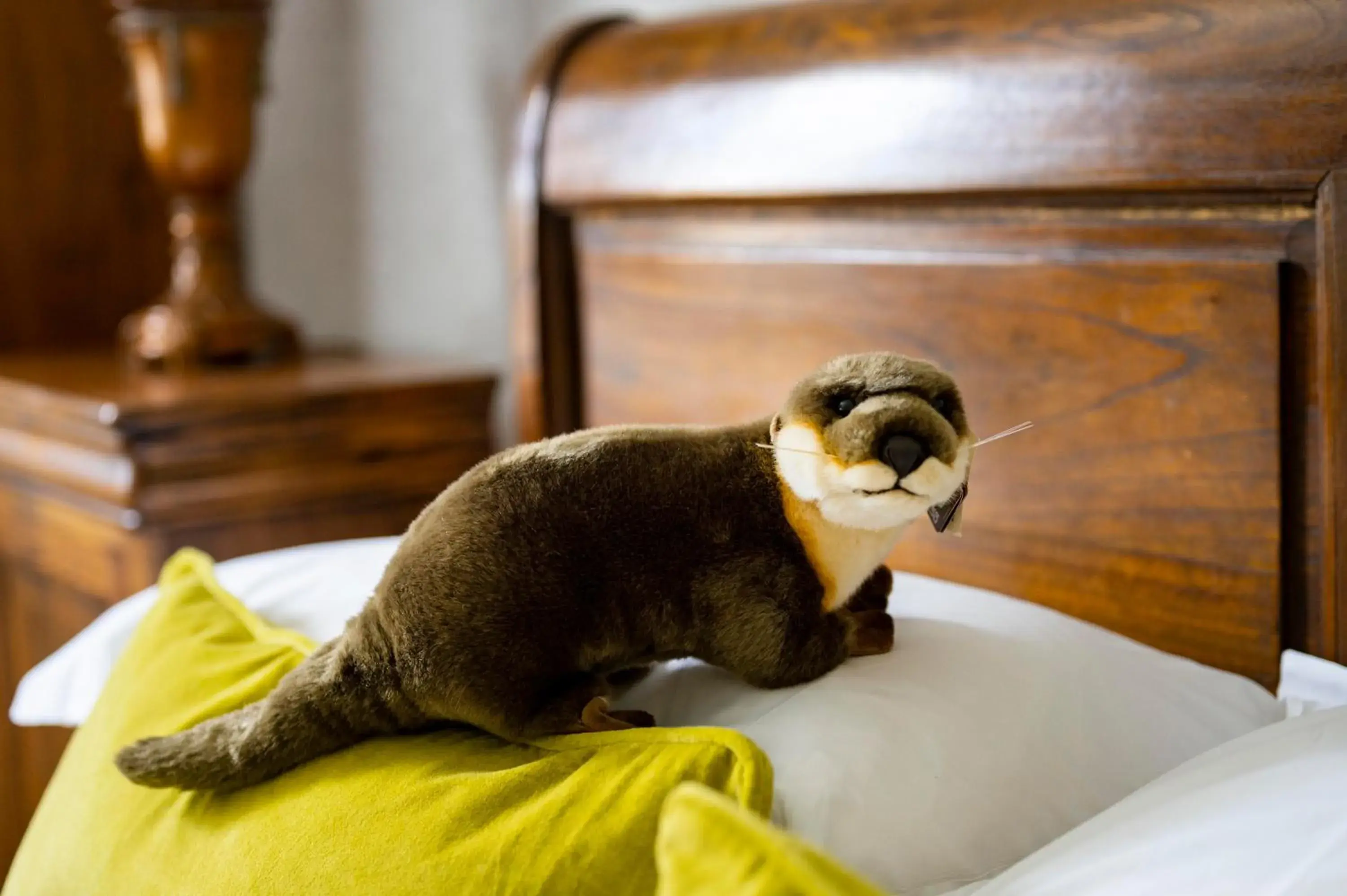 Bed in Toravaig House Hotel Bed in Toravaig House Hotel