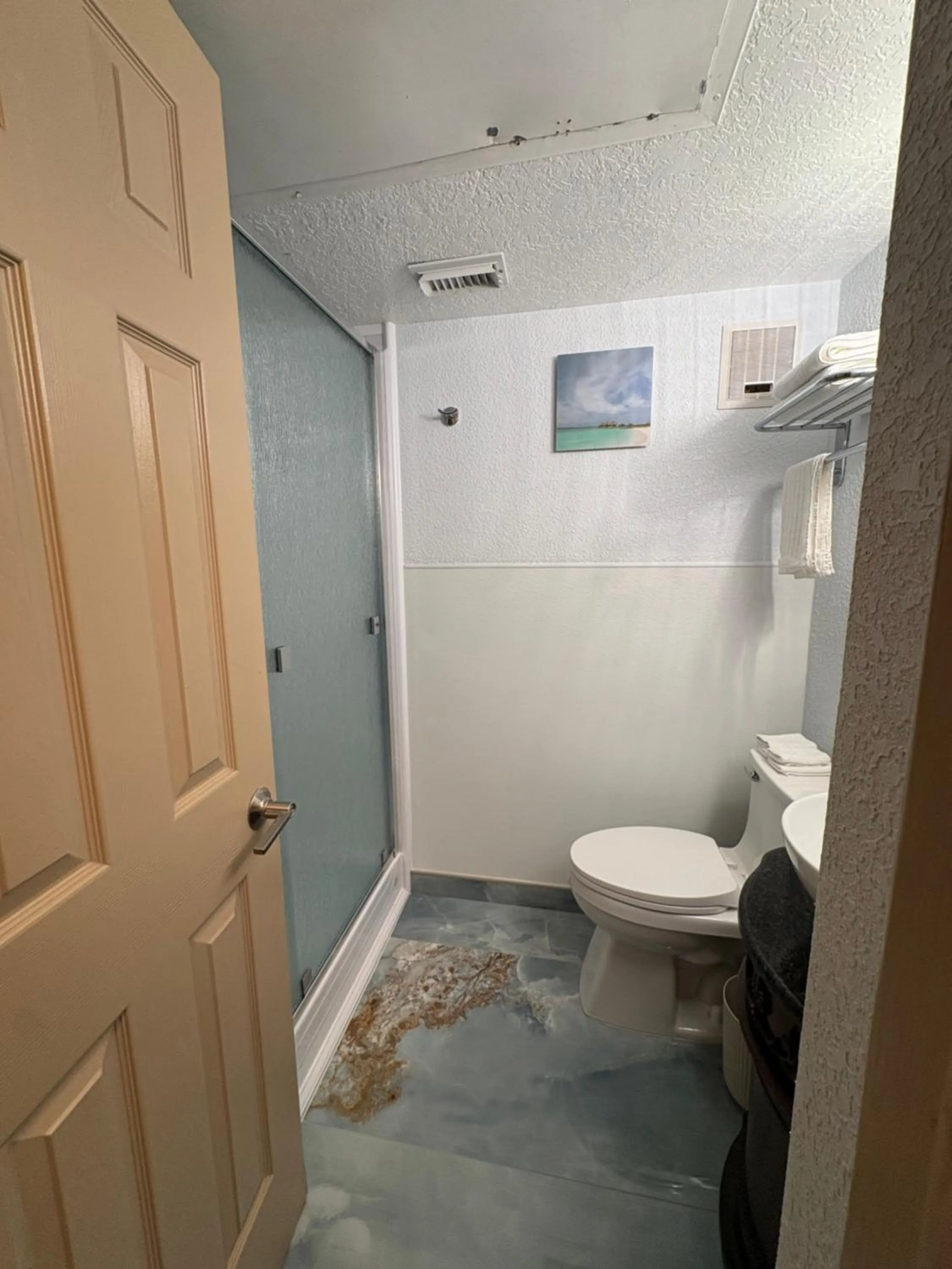 Toilet in The Galveston Victorian Condo