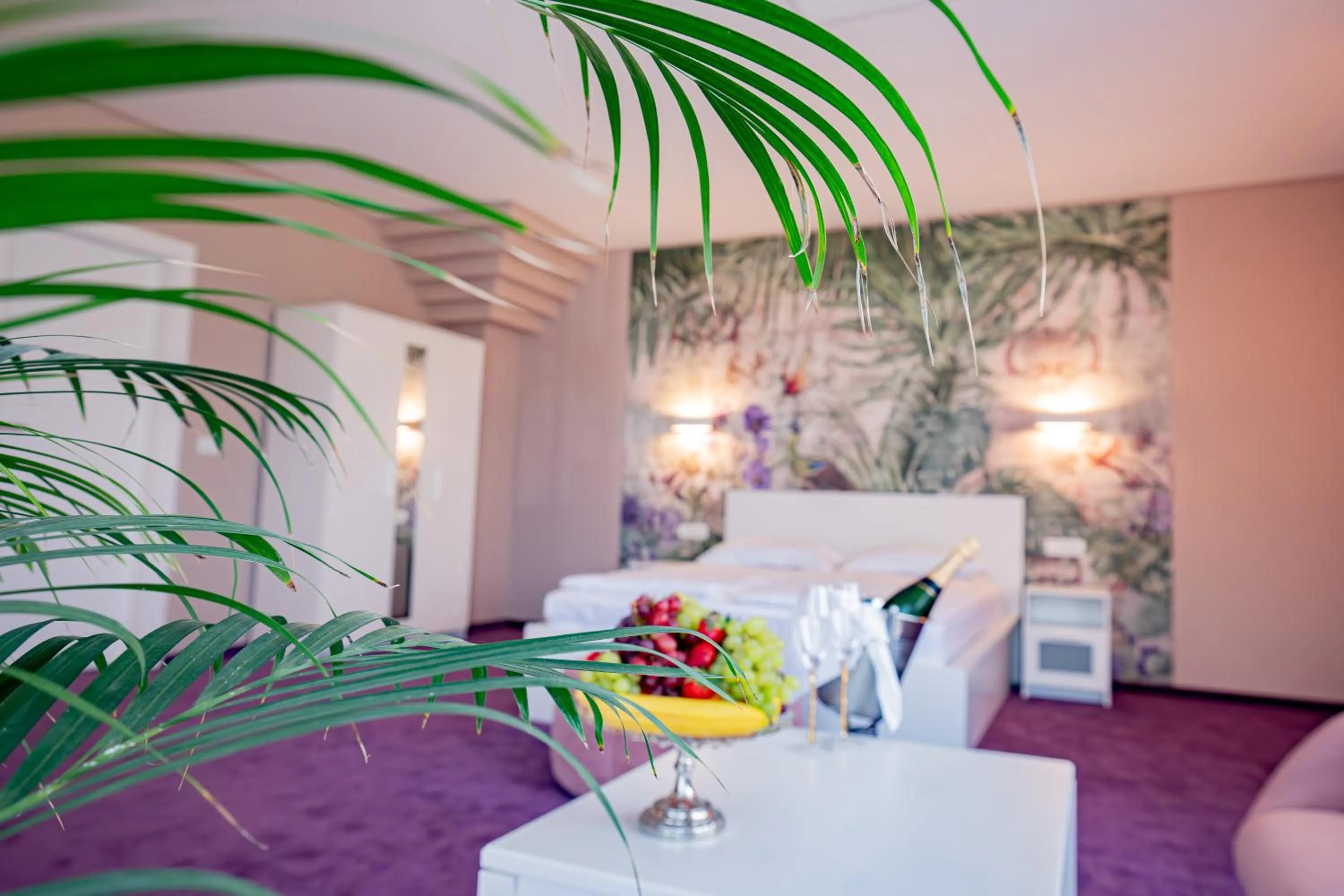 Photo of the whole room in Hotel Senator