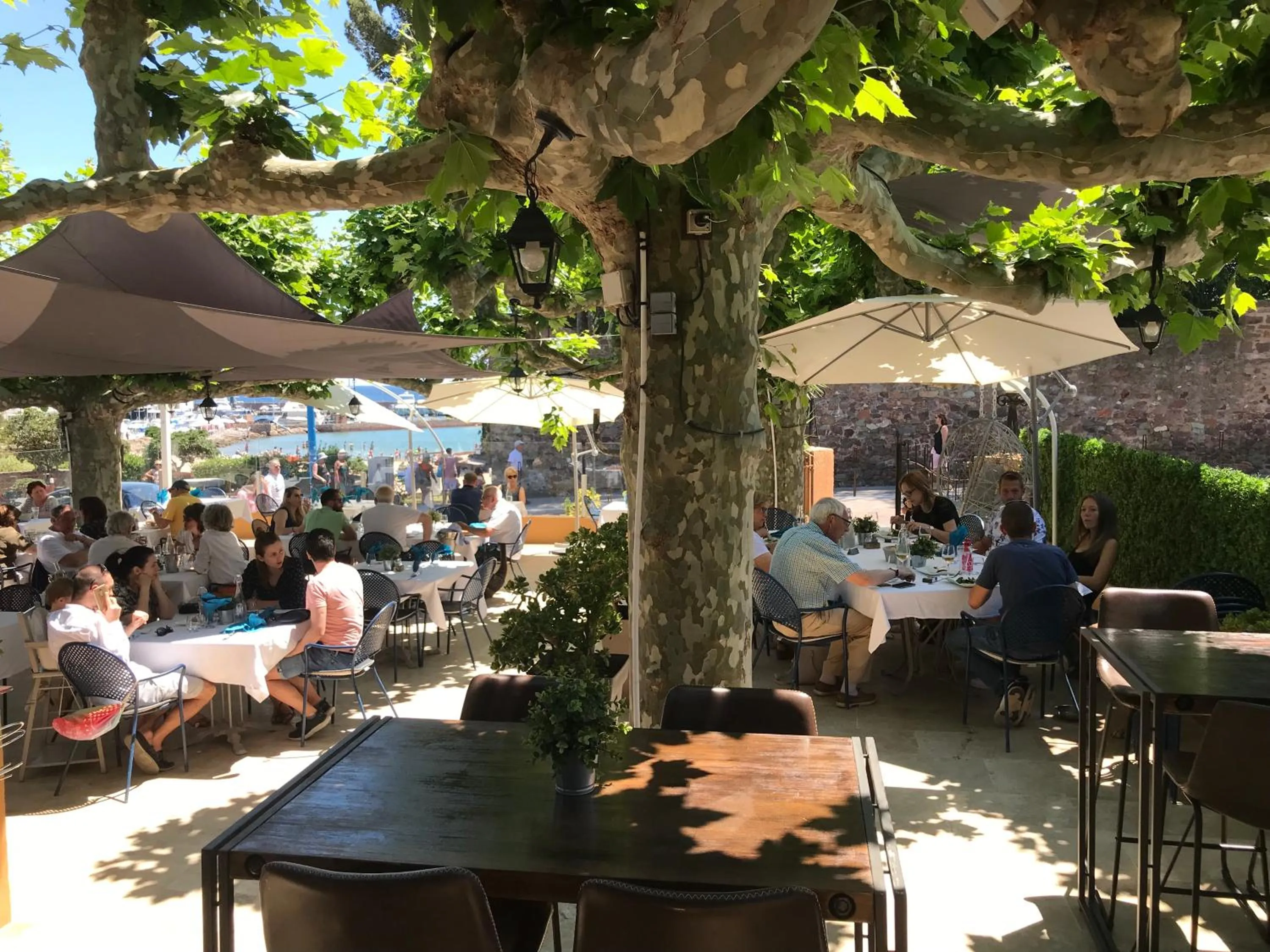 Summer in Hotel La Calanque