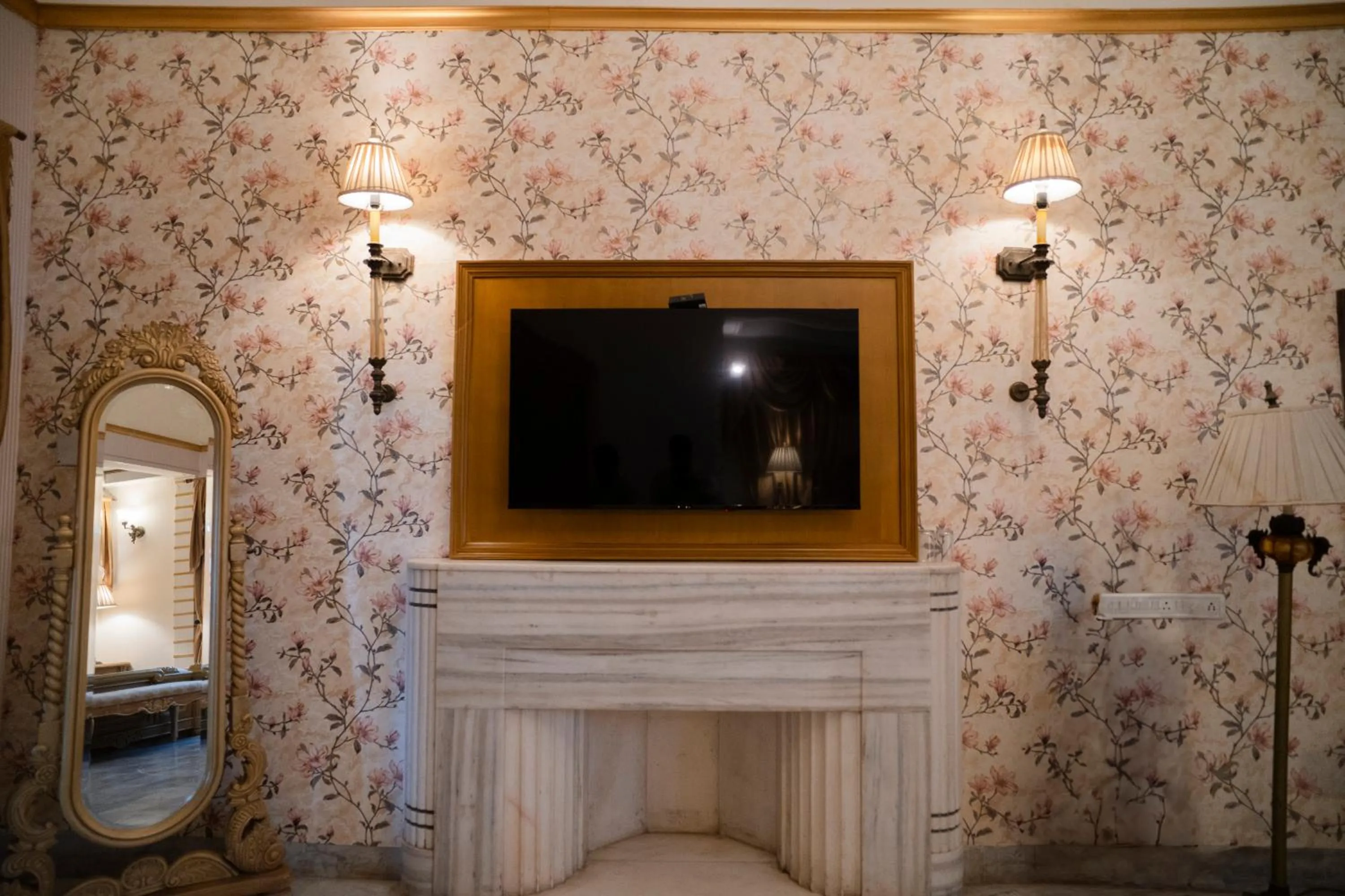 TV and multimedia in Hotel Merwara Estate- A Luxury Heritage Resort