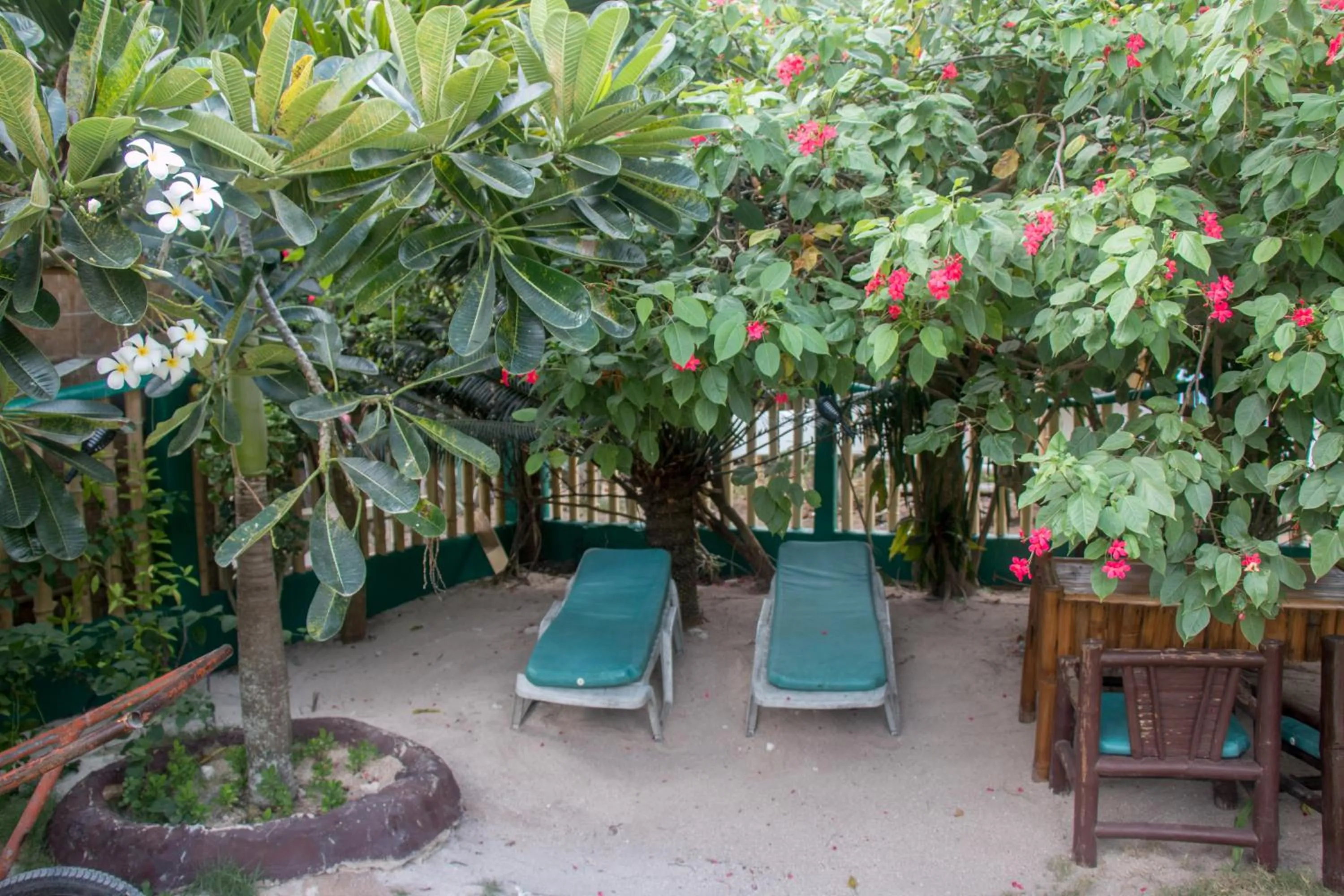 Garden in Moonlight Resort