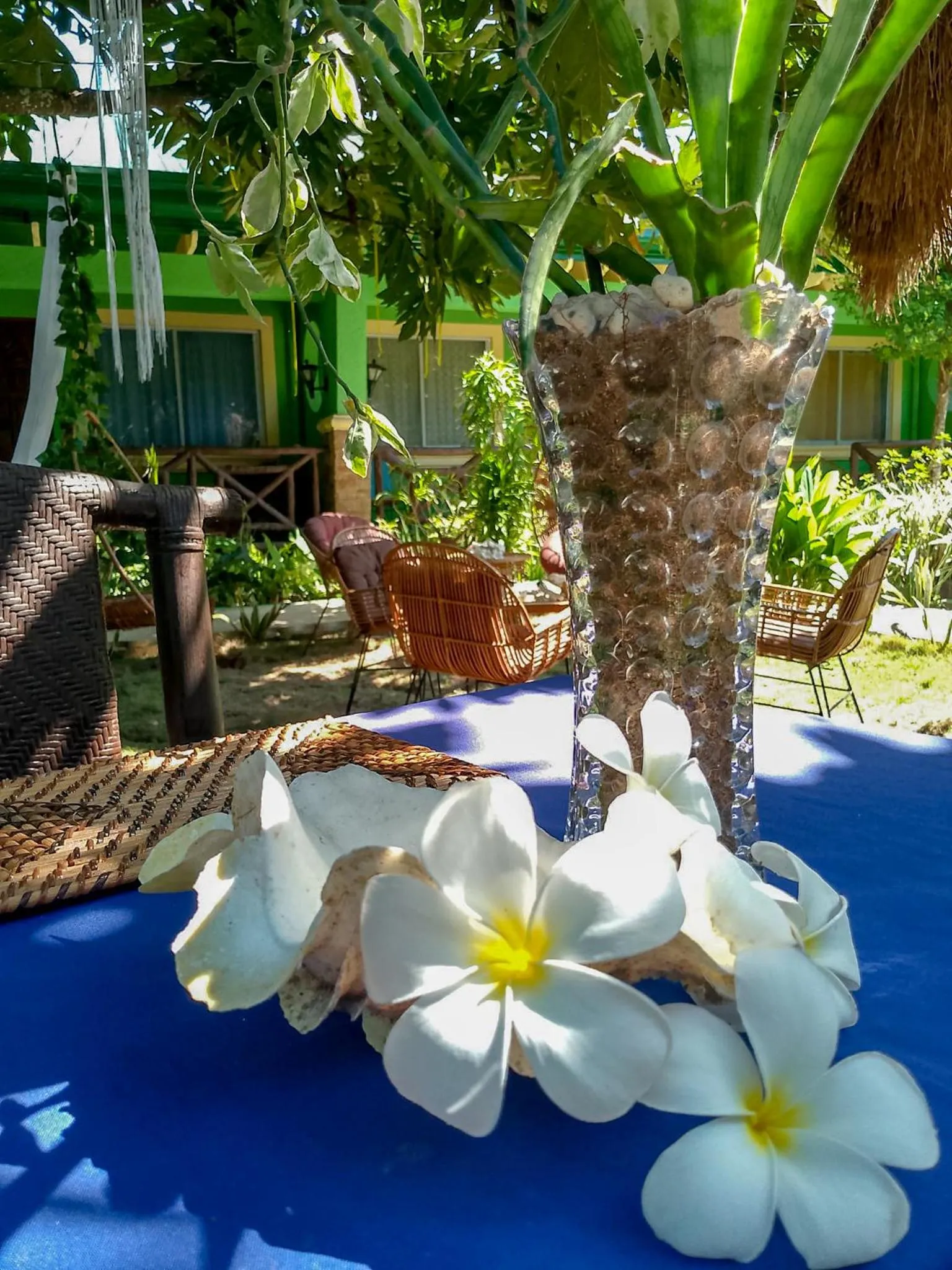 Restaurant/places to eat in Moonlight Resort