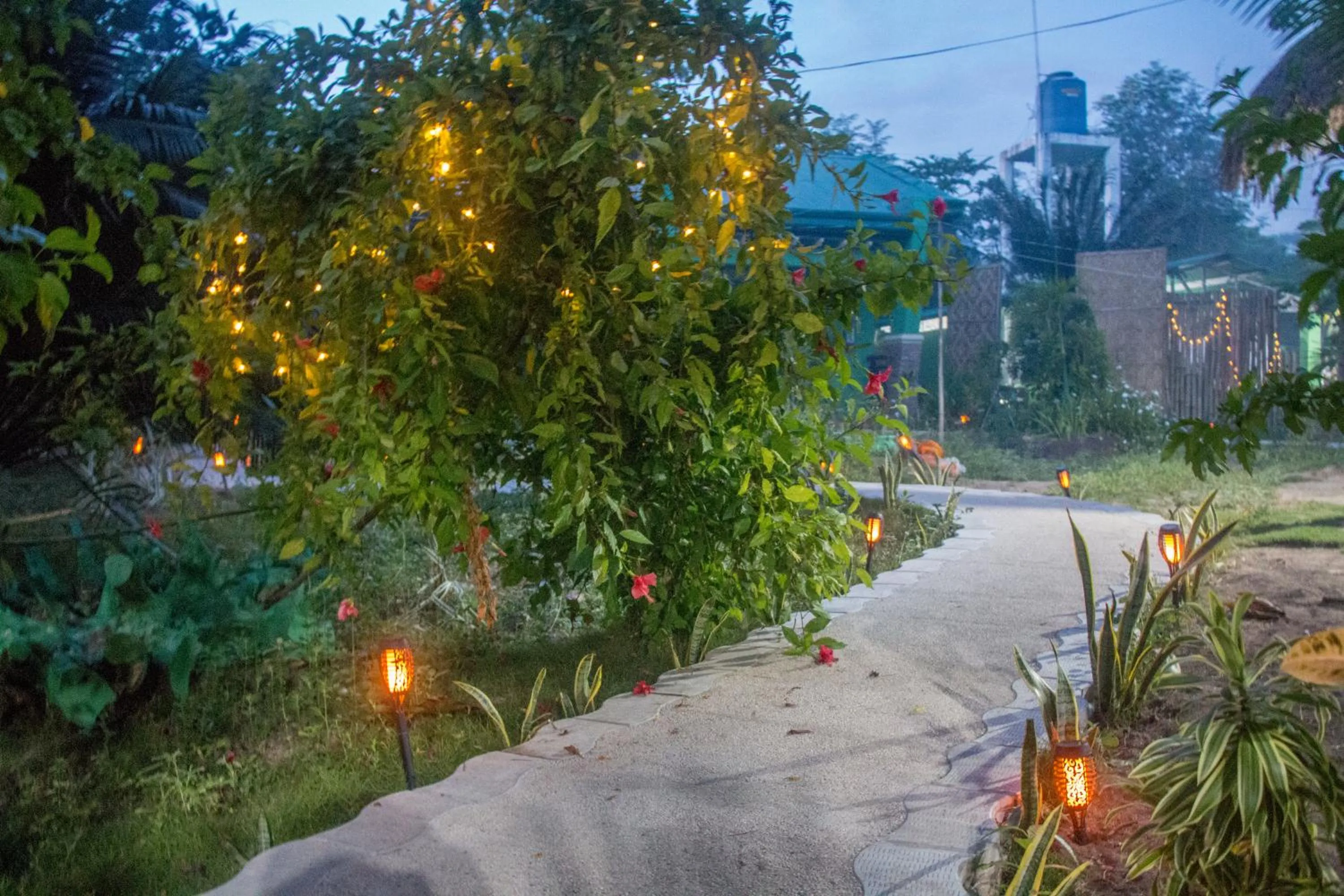 Garden in Moonlight Resort