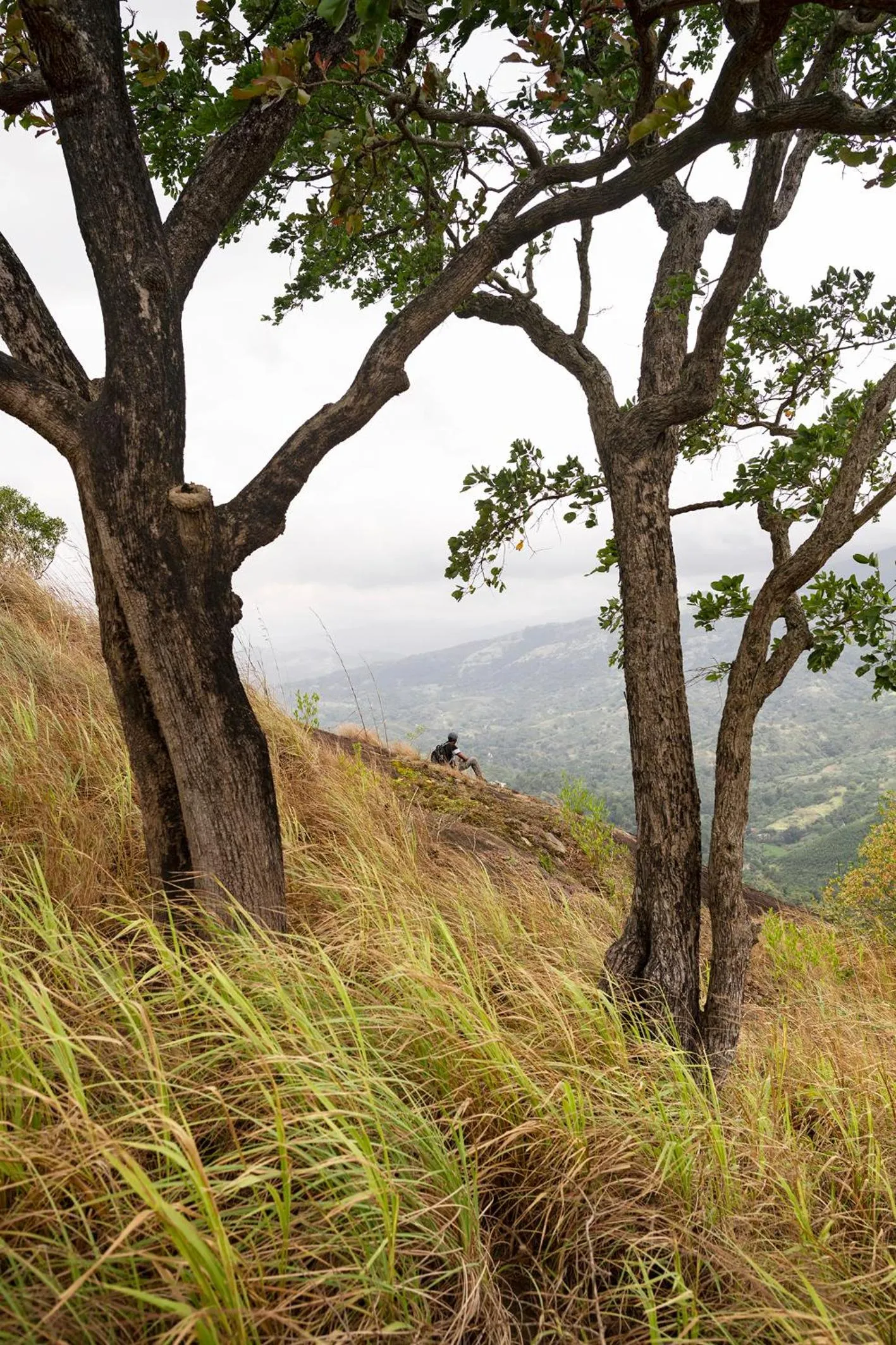 Hiking in Kandy Victoria Eco Resort