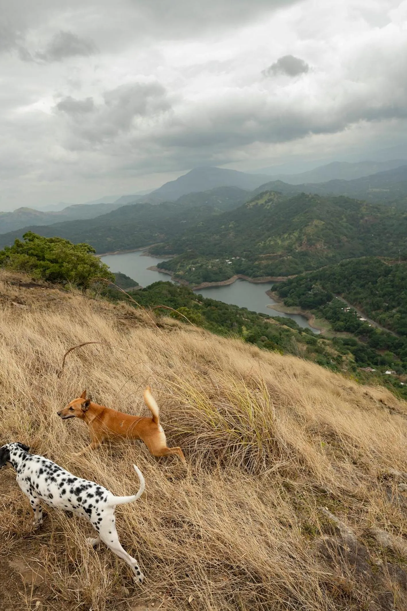Hiking in Kandy Victoria Eco Resort