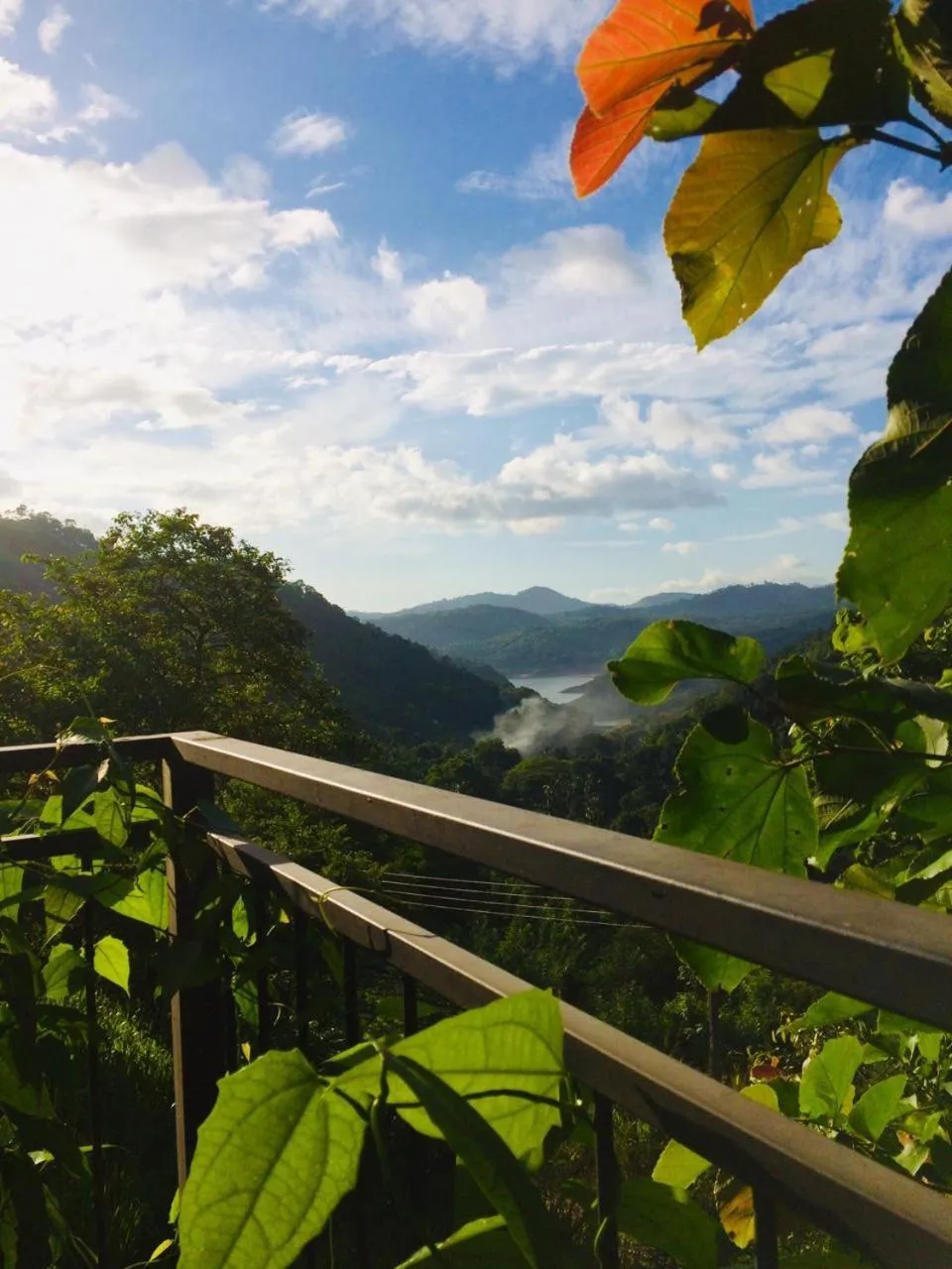 View (from property/room) in Kandy Victoria Eco Resort