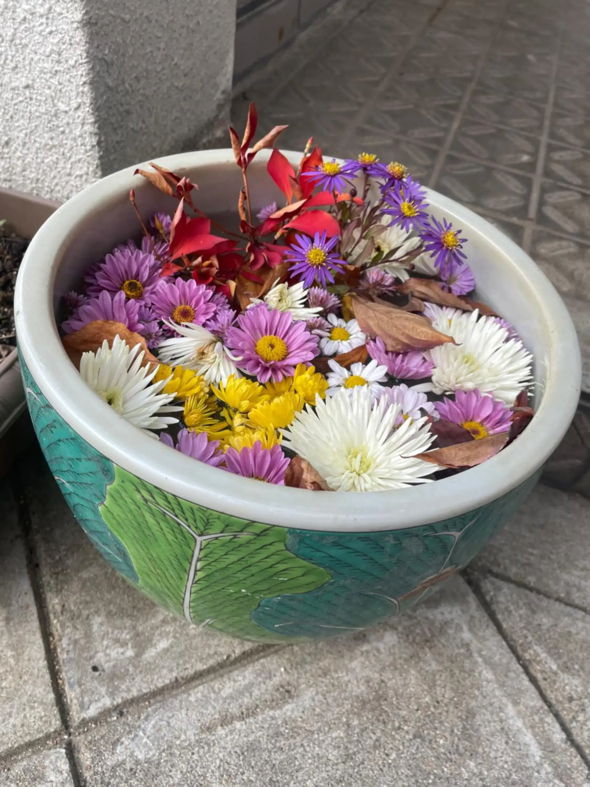 Economy Twin Room - single occupancy in Guest House Chara Economy Twin Room - single occupancy in Guest House Chara