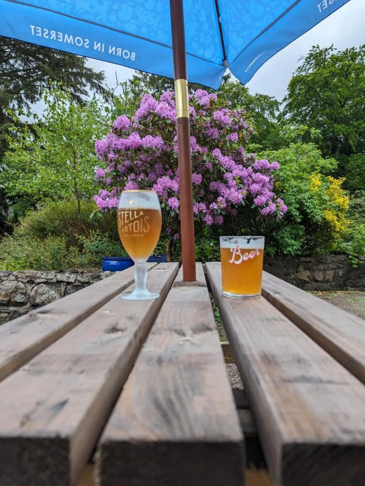 Property building in Royal Goat Hotel