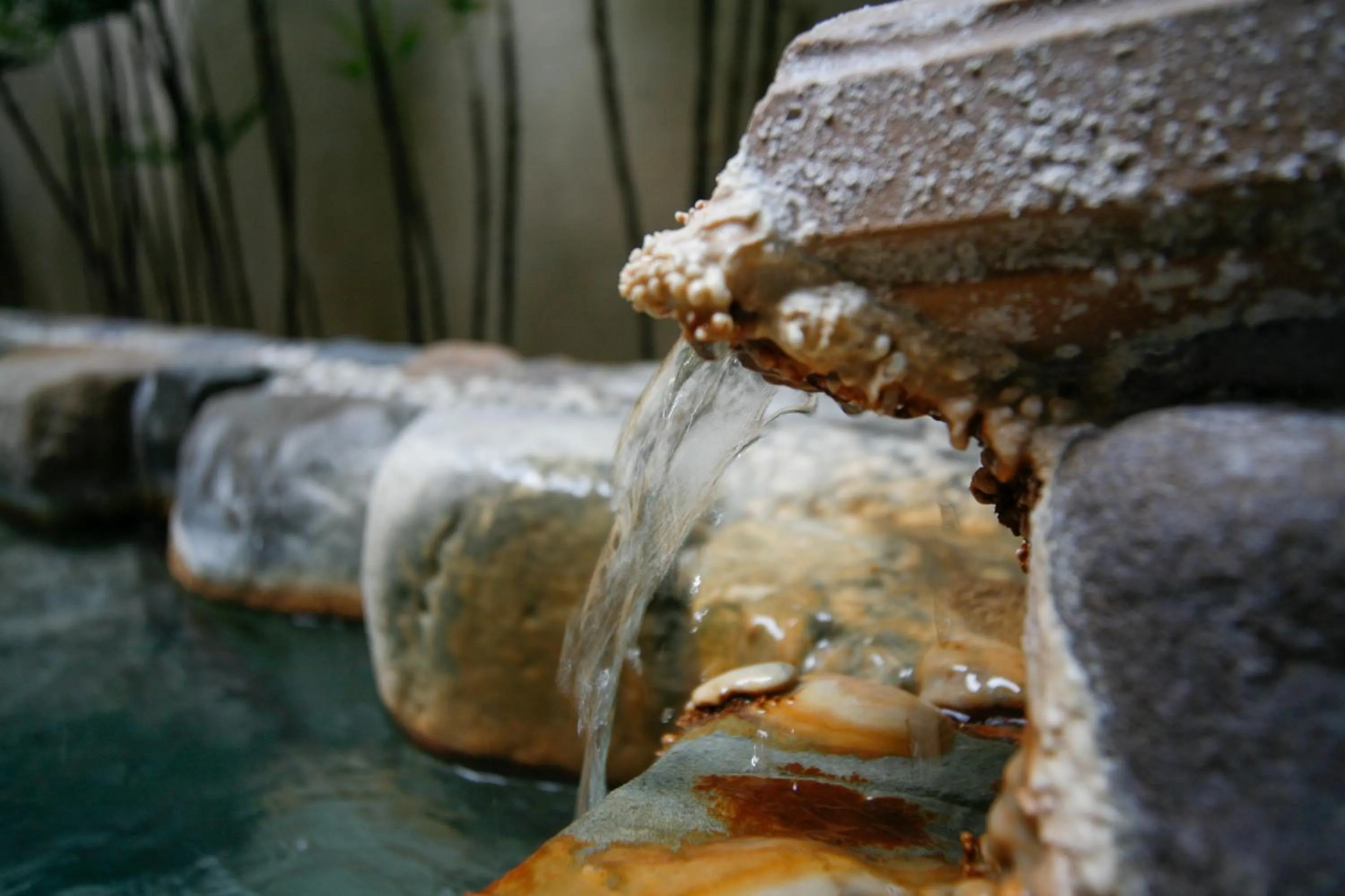 Hot Spring Bath in Musashi