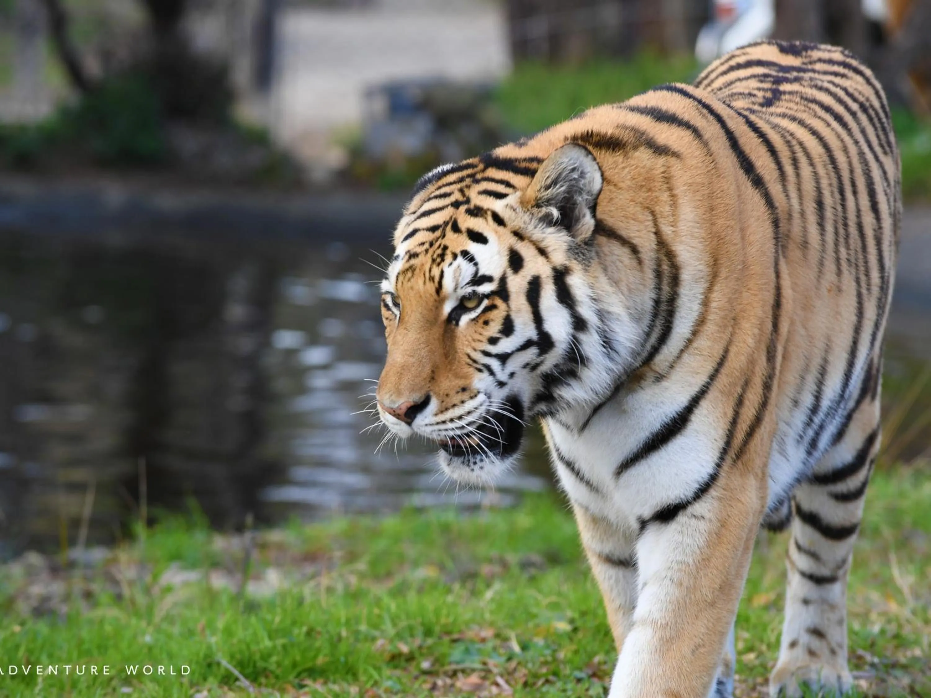 Nearby landmark in Musashi