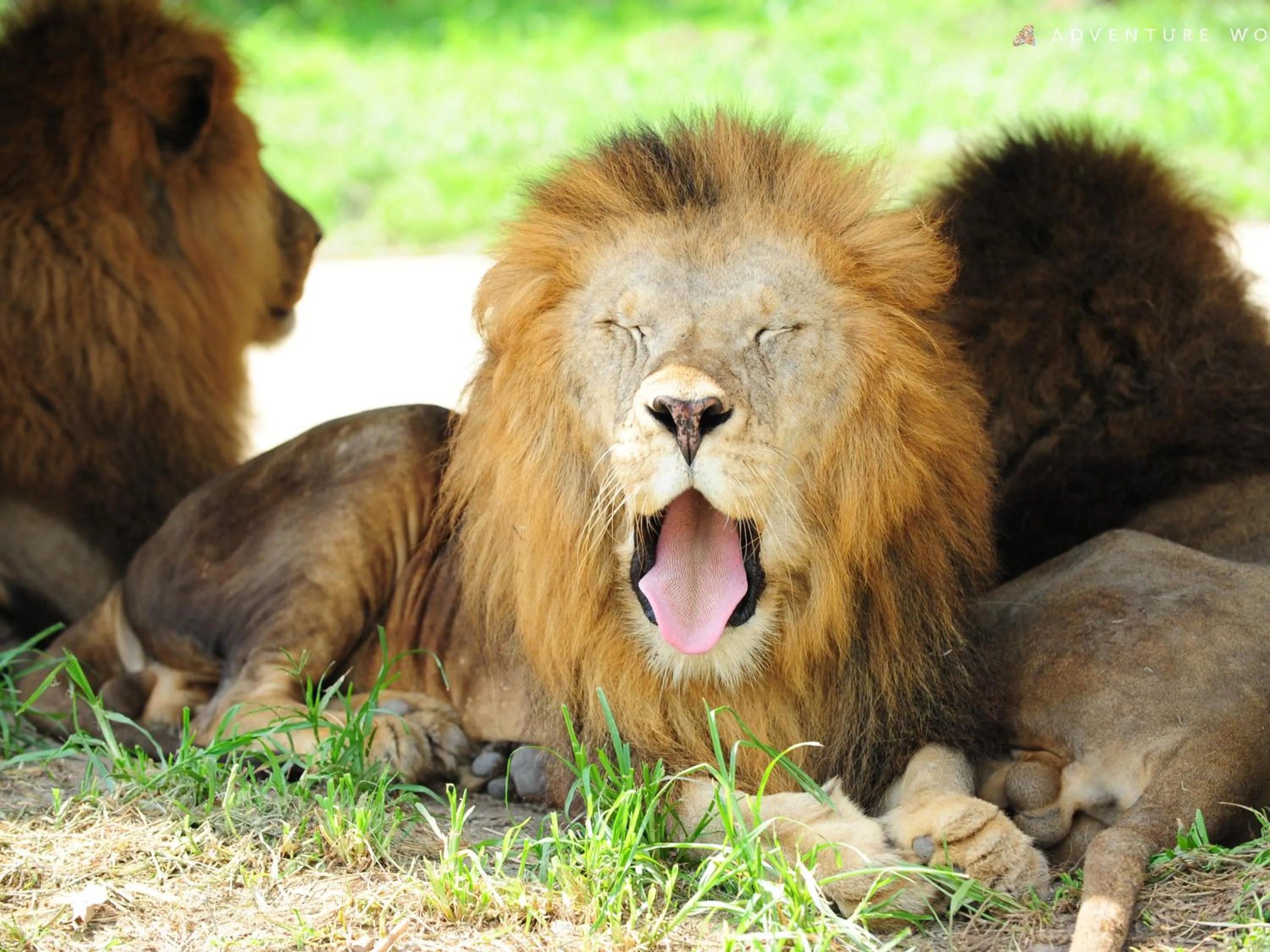 Nearby landmark in Musashi