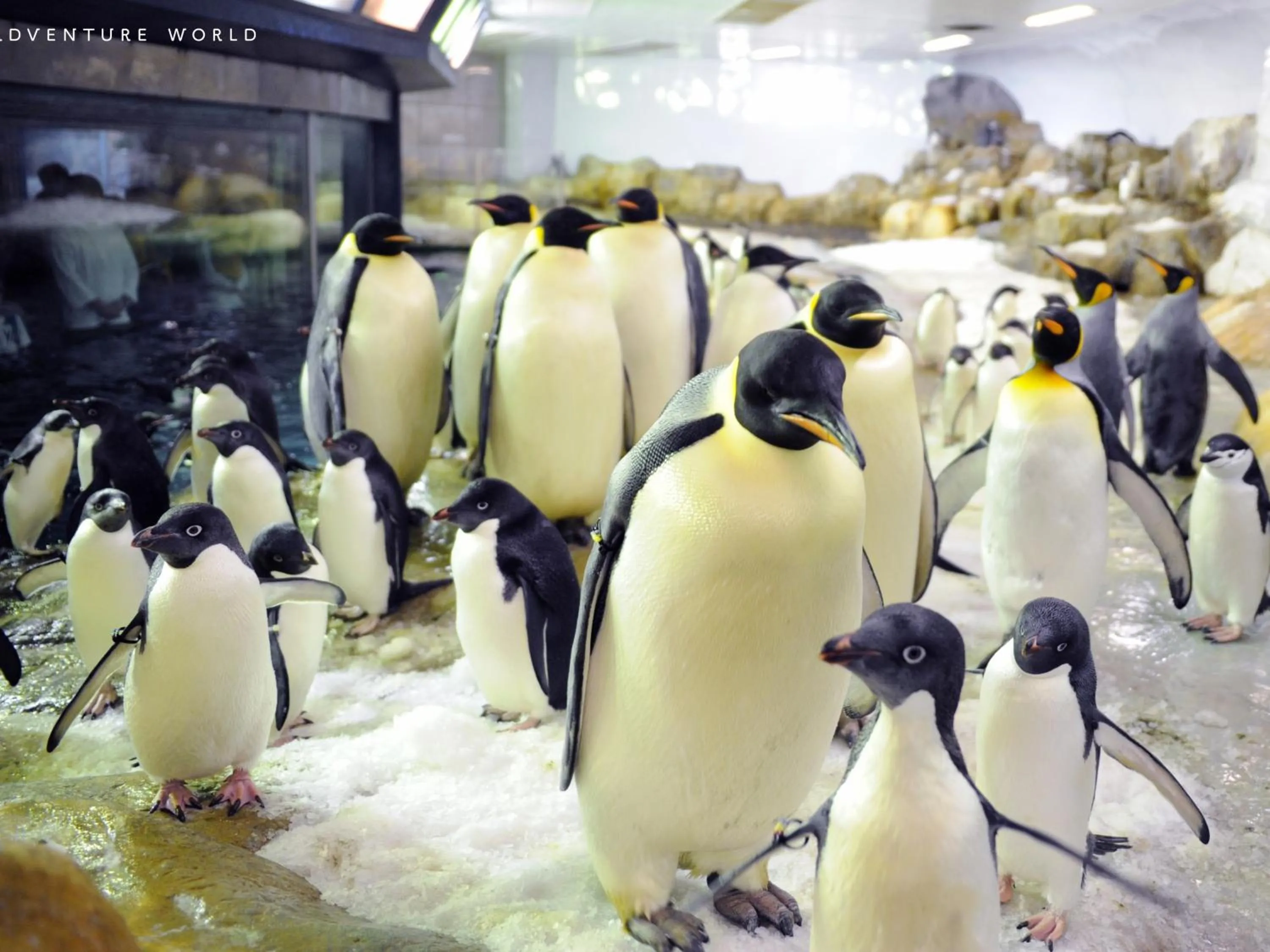 Nearby landmark in Musashi