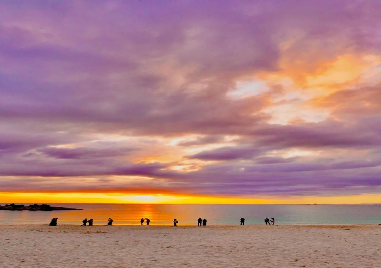 Natural landscape in Musashi