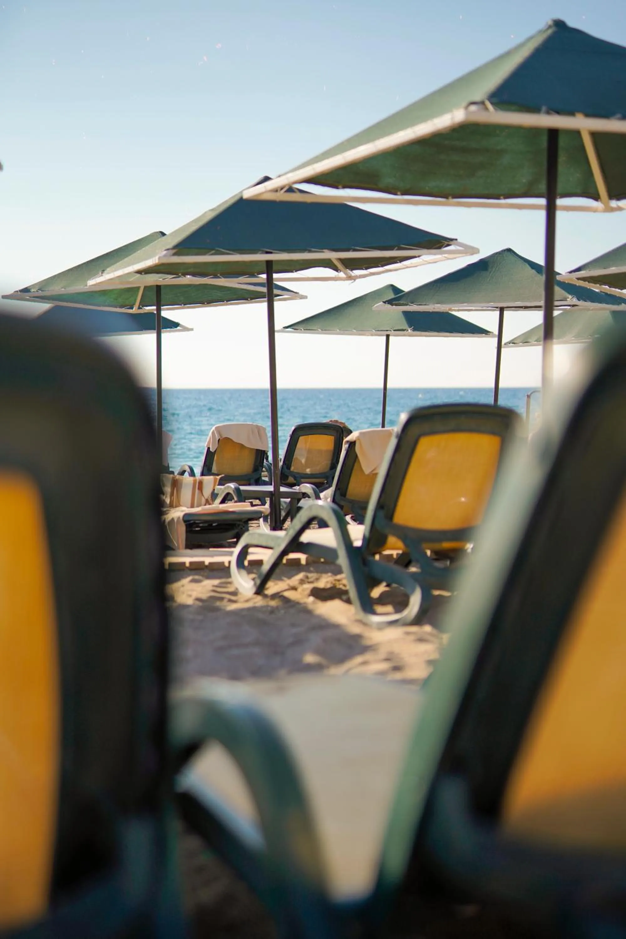 Beach in Aleria Belport Beach Hotel