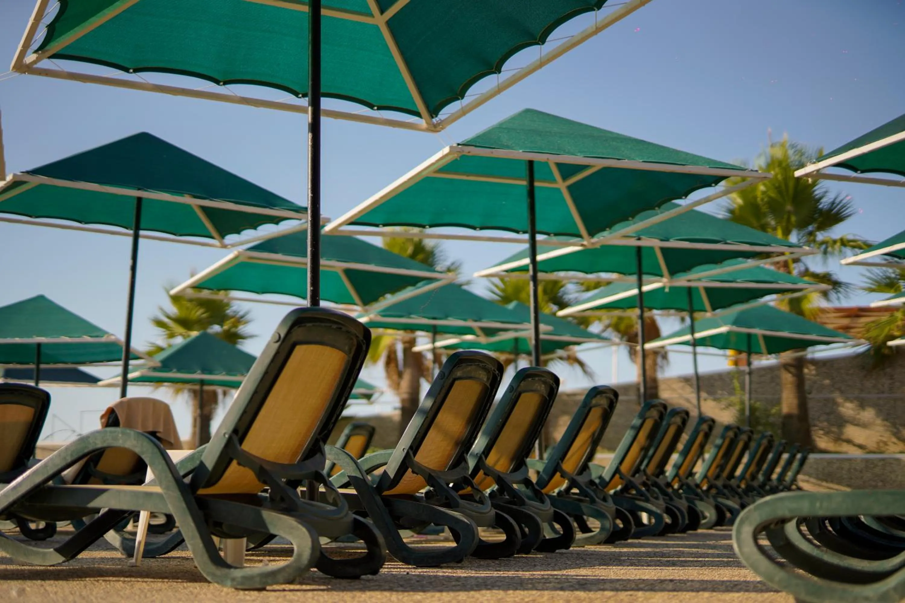 sunbed in Aleria Belport Beach Hotel