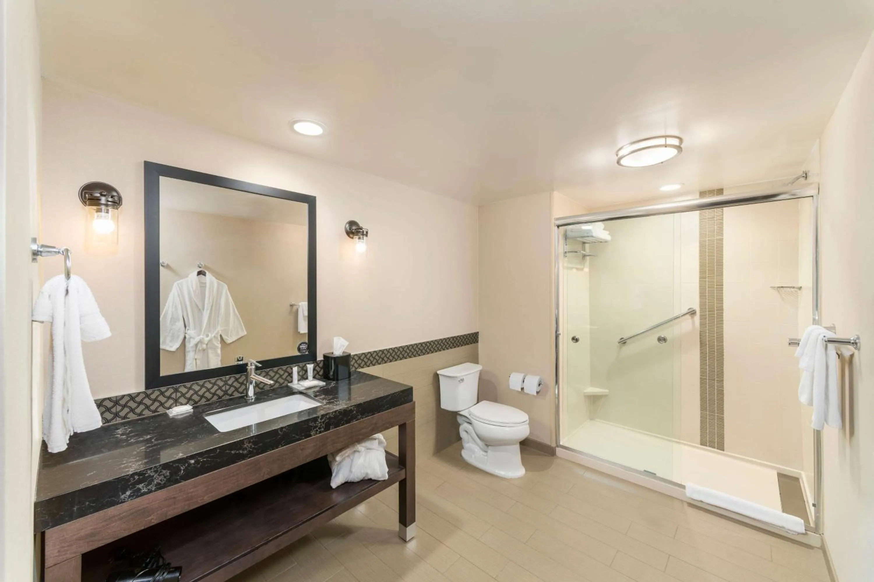 Bathroom in Hyatt Place Greenville Downtown