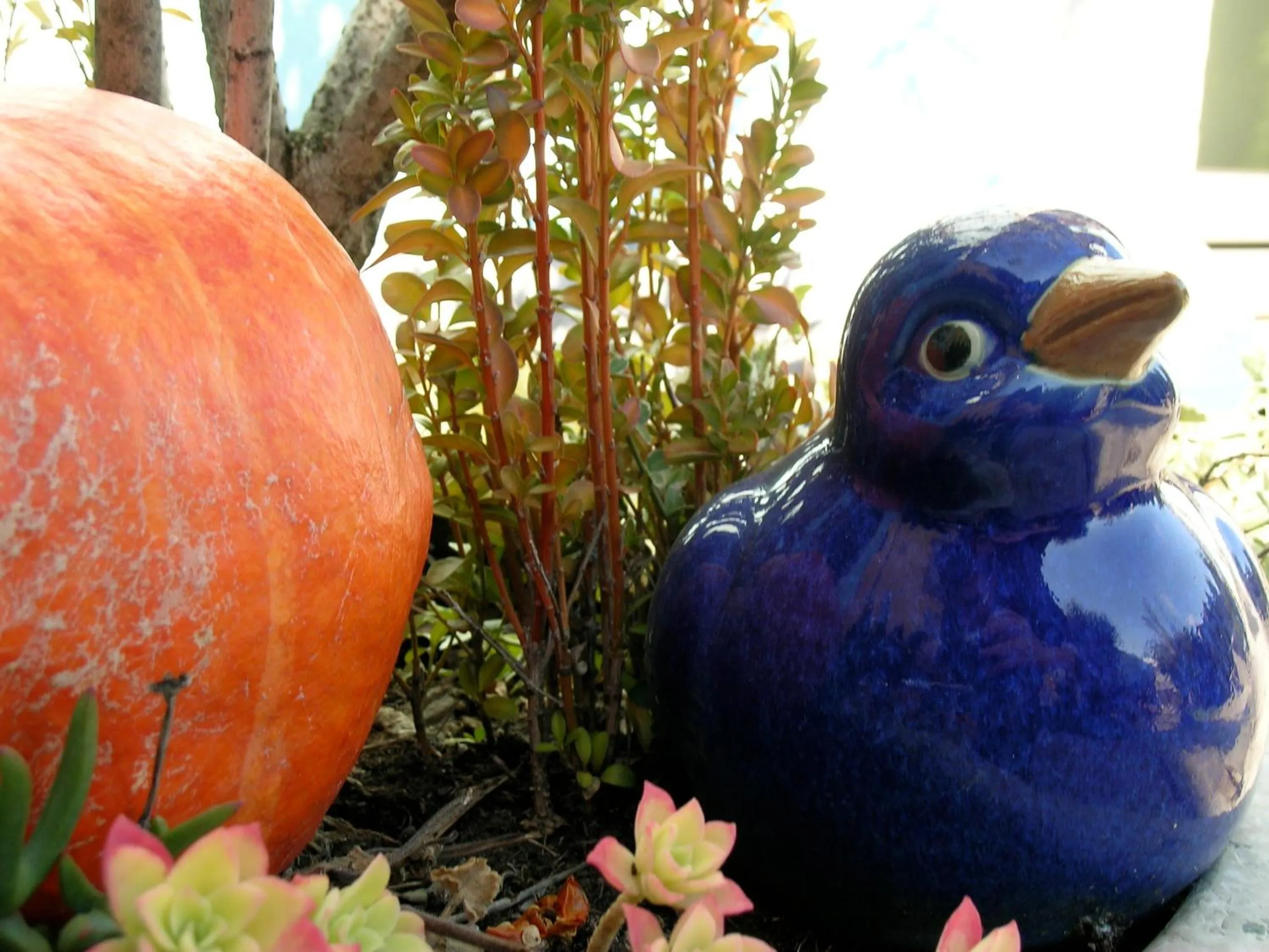 Garden in Garni Rosa Delle Alpi
