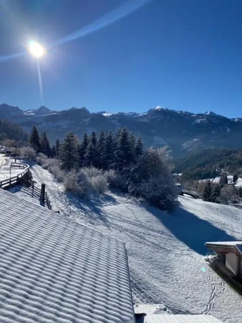 Winter in FORESTO - holiday apartments