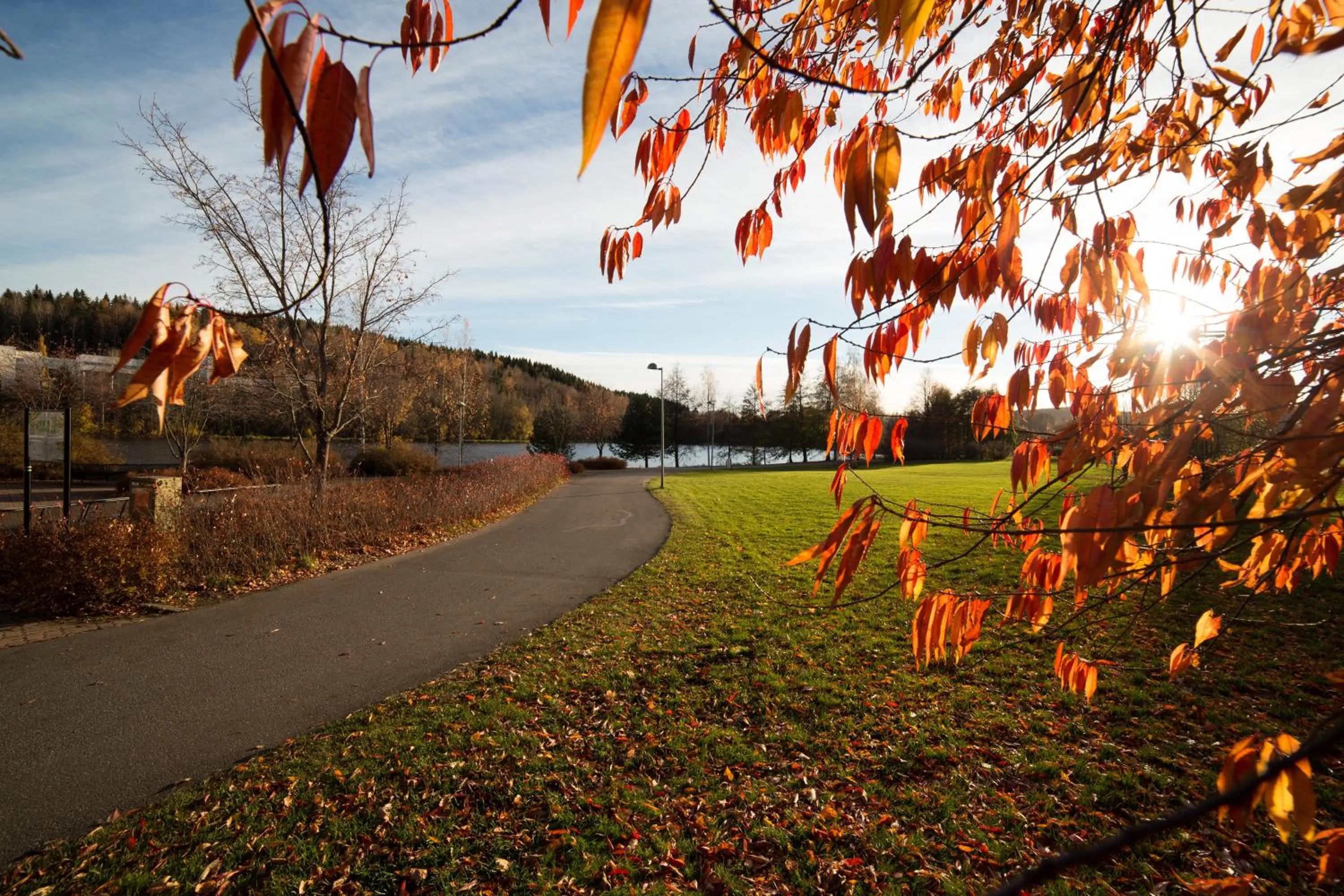 Neighbourhood in Finlandia Hotel Alba