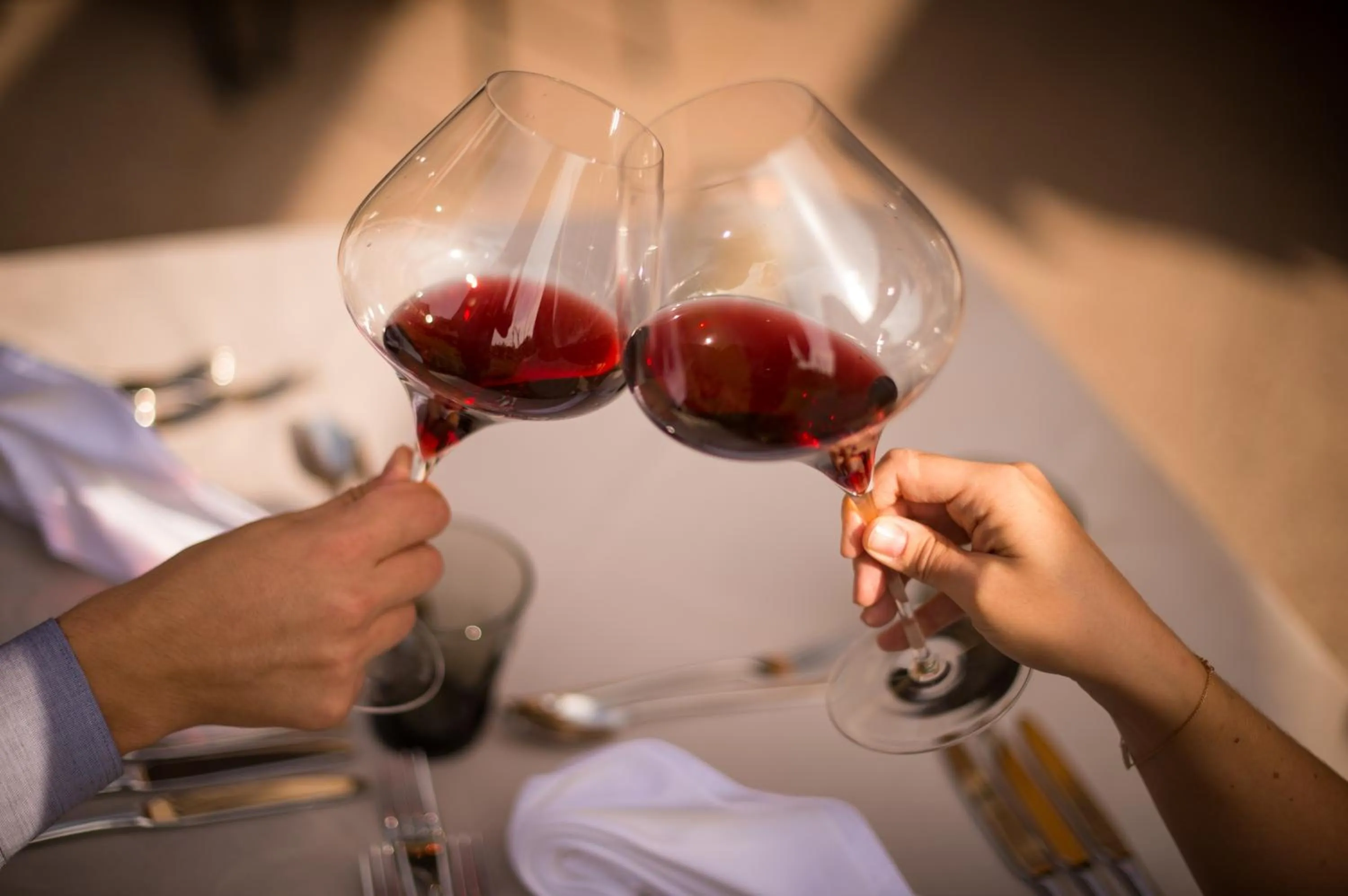 Alcoholic drinks in Hotel Paradies