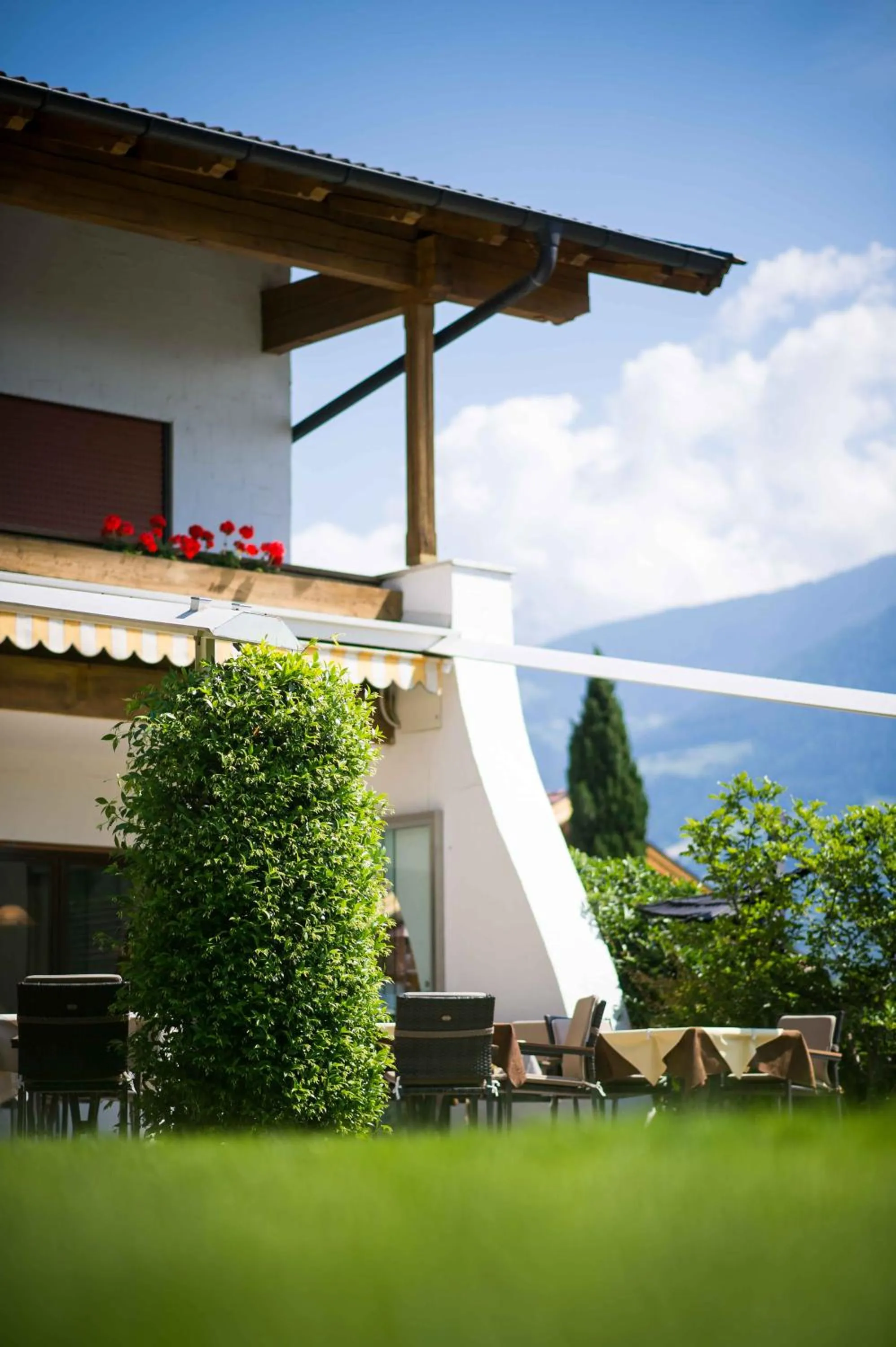 Garden in Hotel Paradies