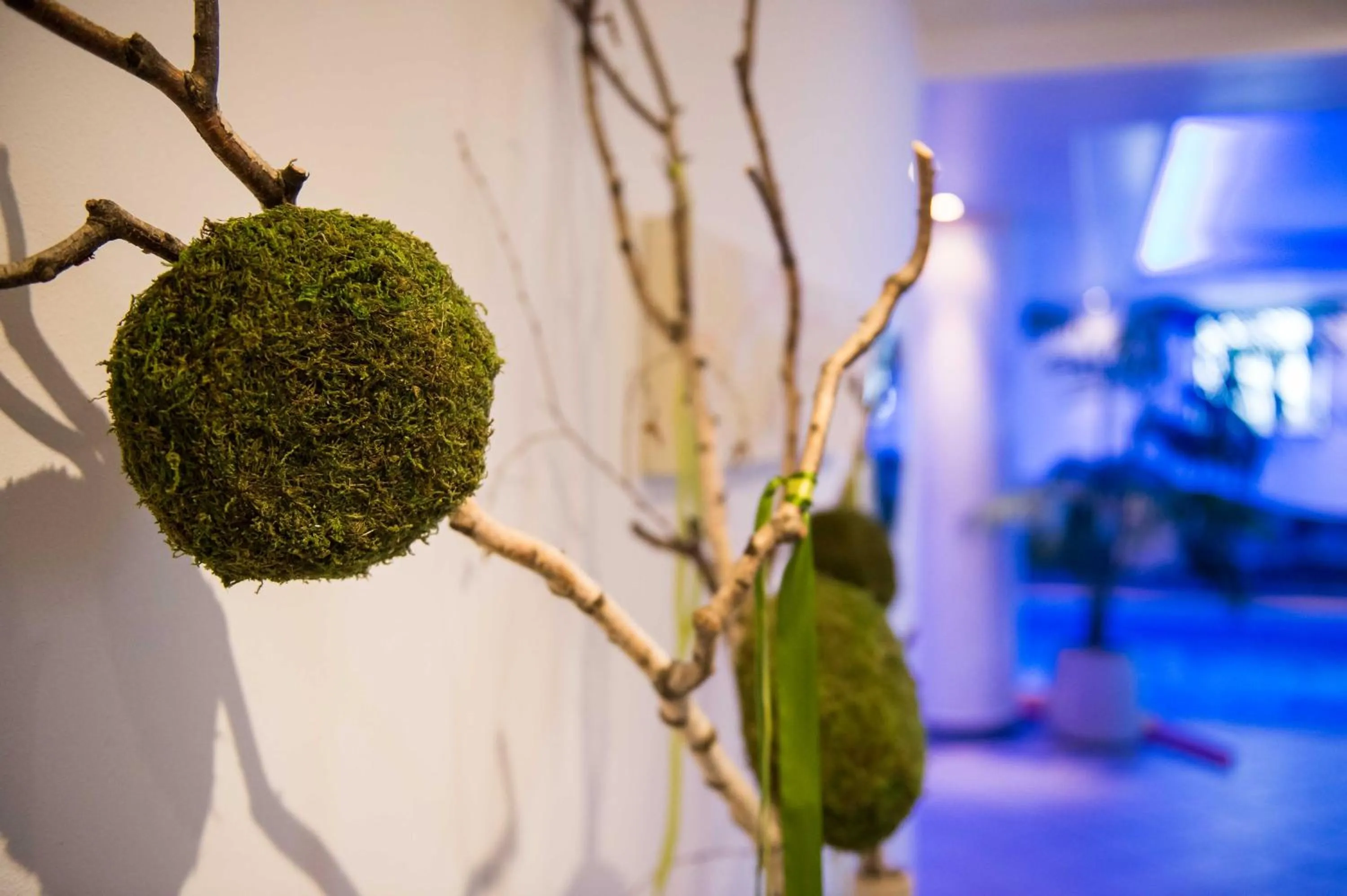 Swimming pool in Hotel Paradies