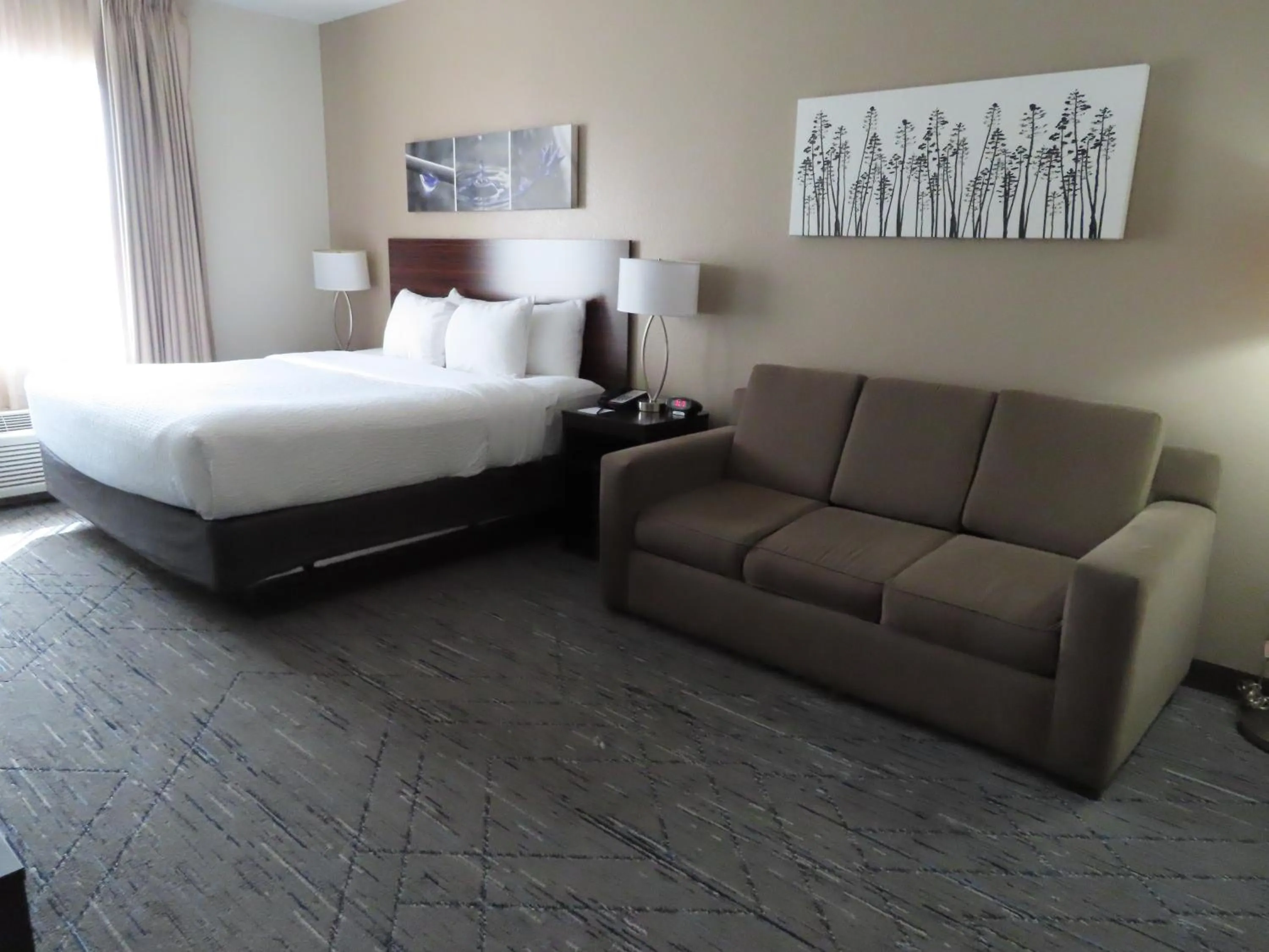 Living room, Bed in Sleep Inn & Suites Denver International Airport