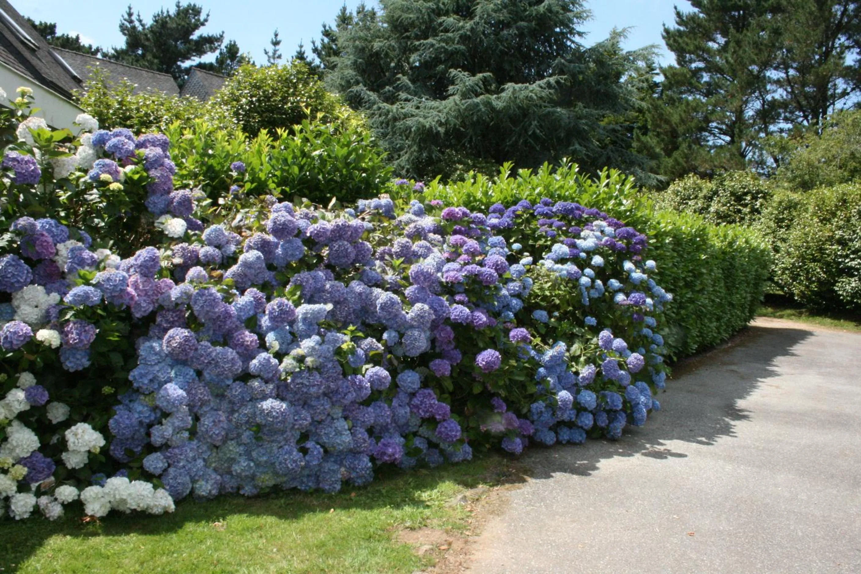 Area and facilities in Logis Latitude Ouest Hôtel Restaurant & Spa