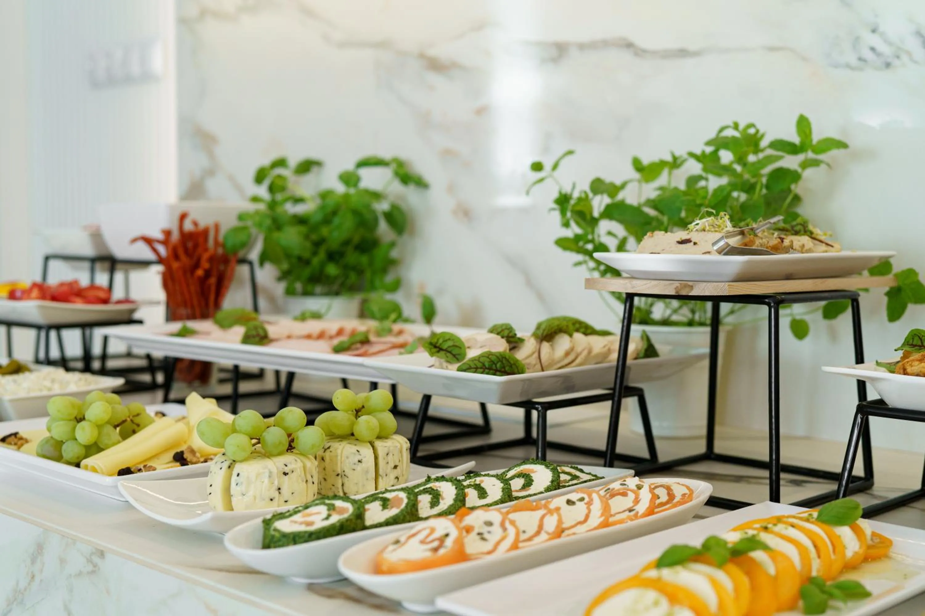 Hotel Antoni