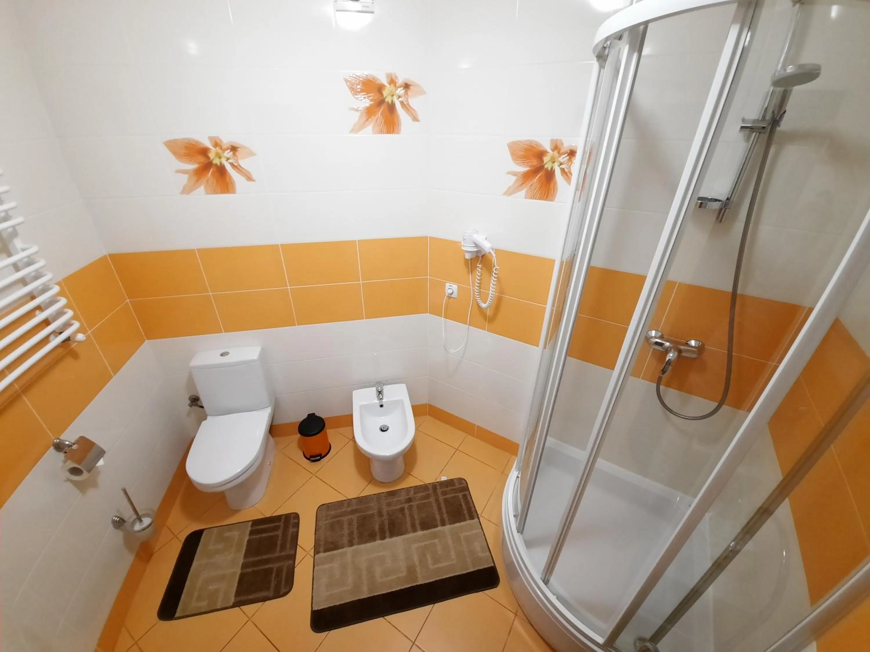 Bathroom in Tsvit Paporoti