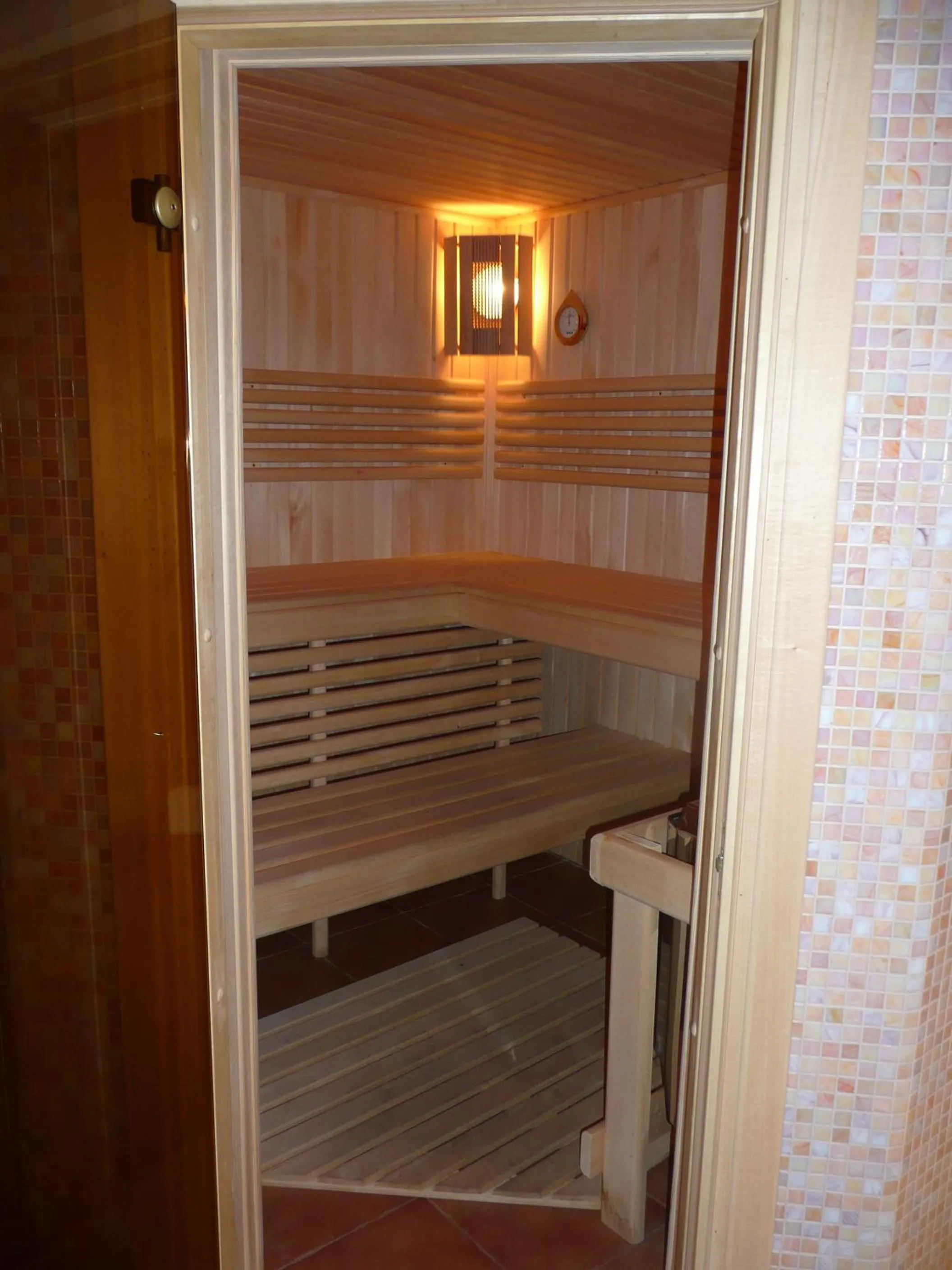 Sauna in Tsvit Paporoti