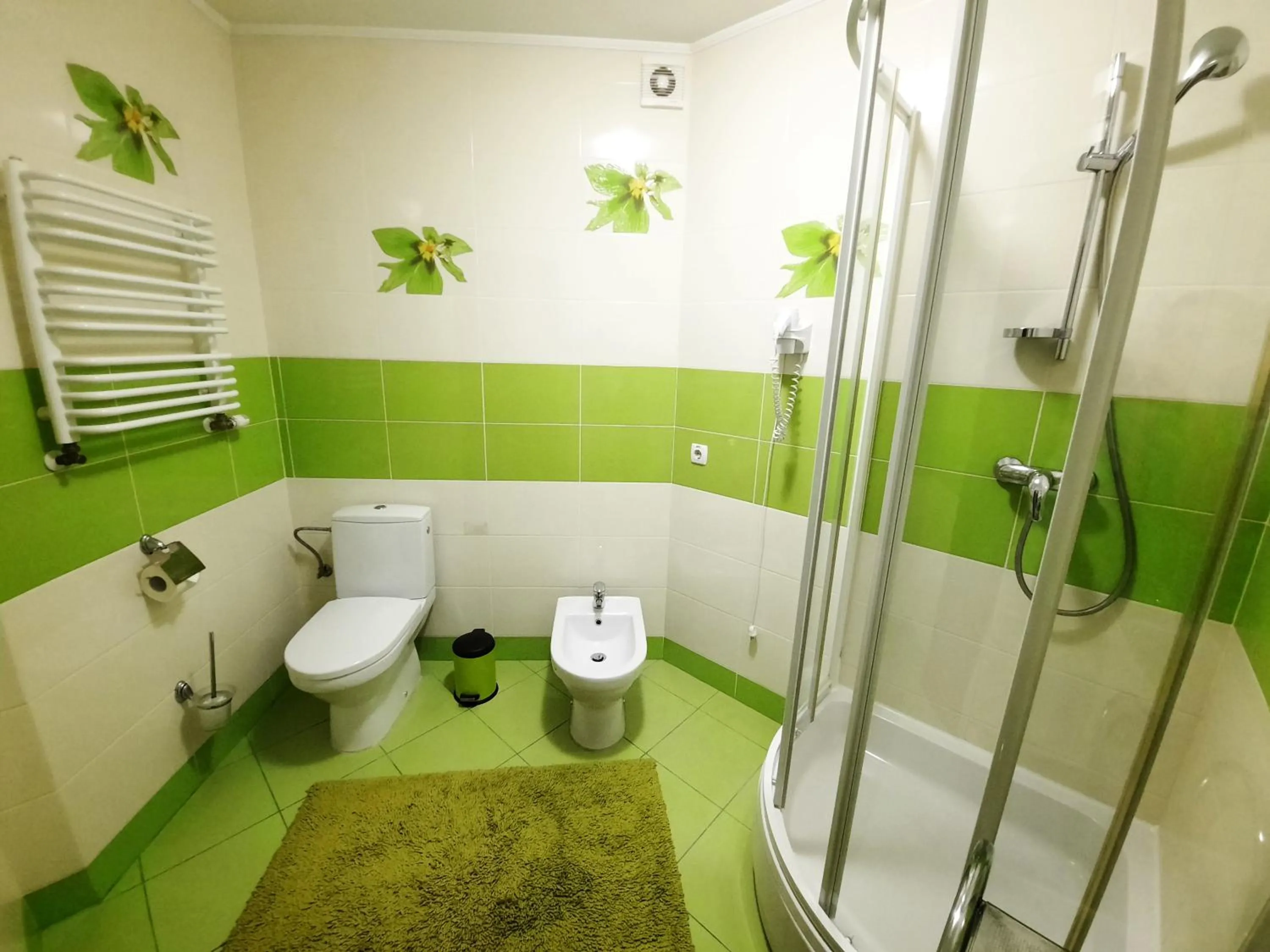 Bathroom in Tsvit Paporoti