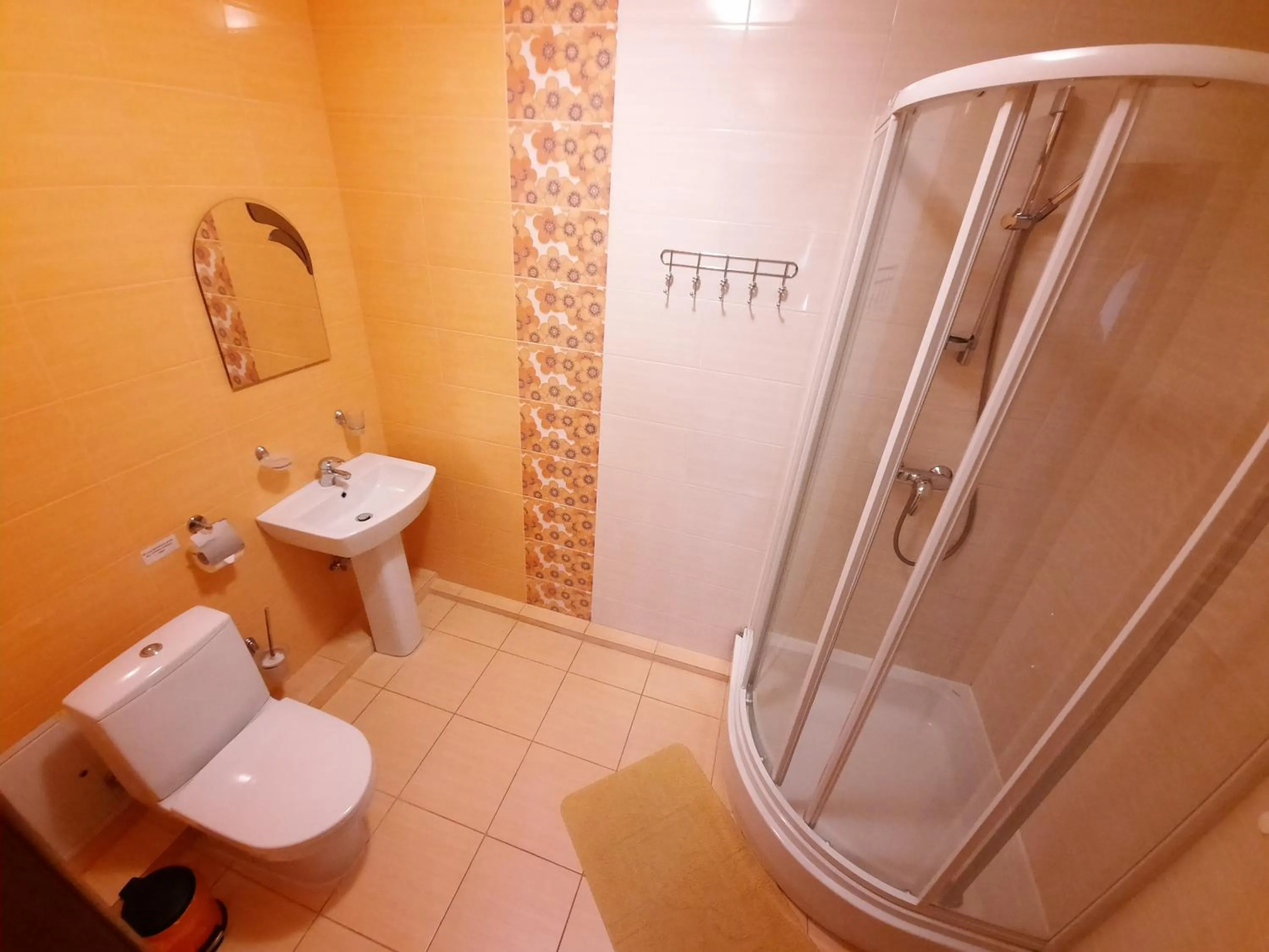 Bathroom in Tsvit Paporoti