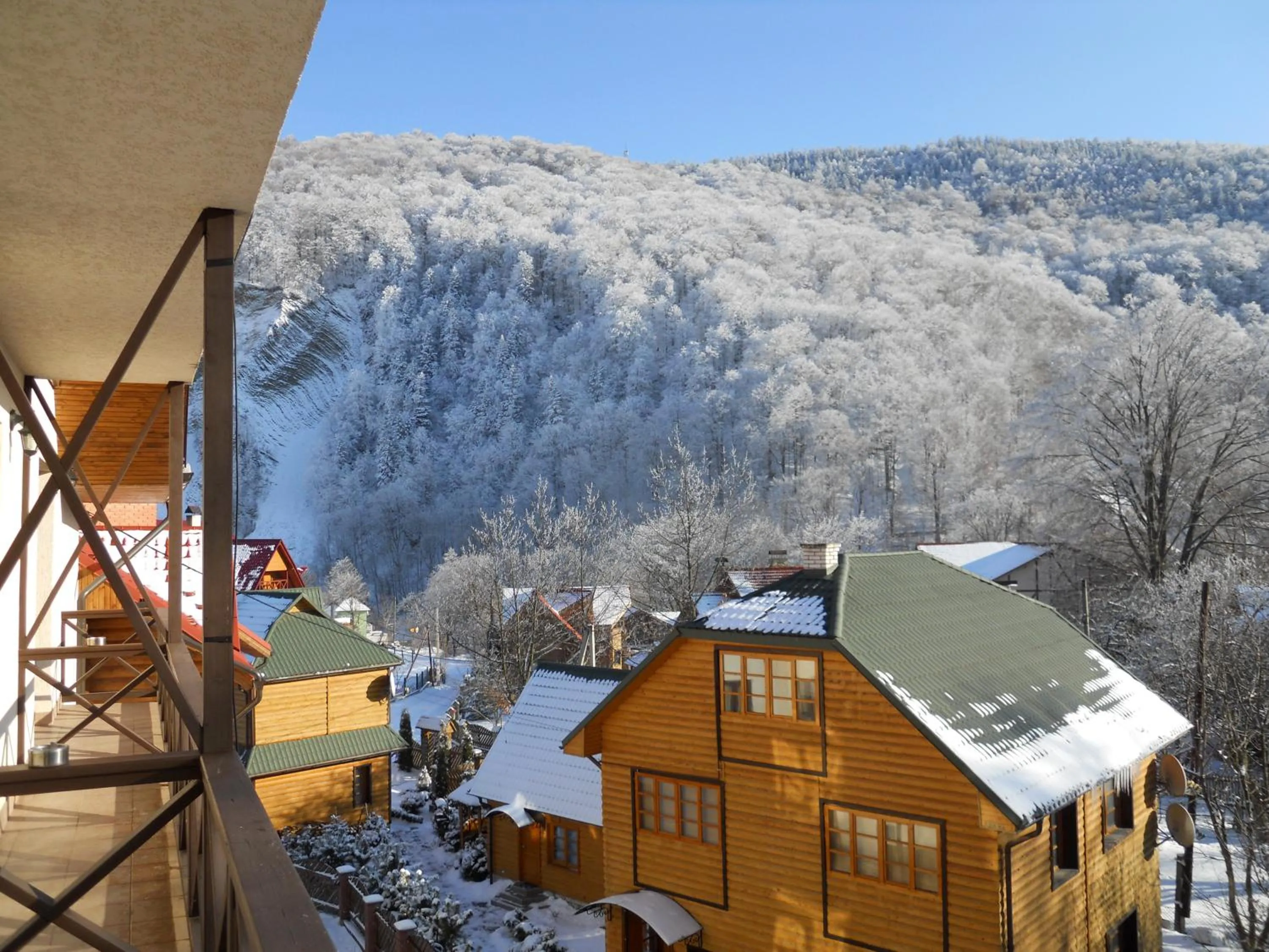 Winter in Tsvit Paporoti