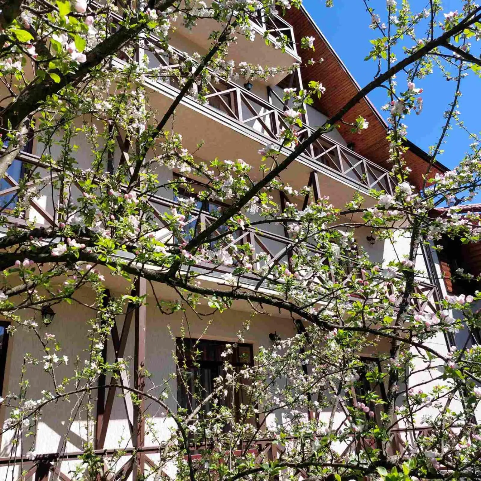 Property building in Tsvit Paporoti