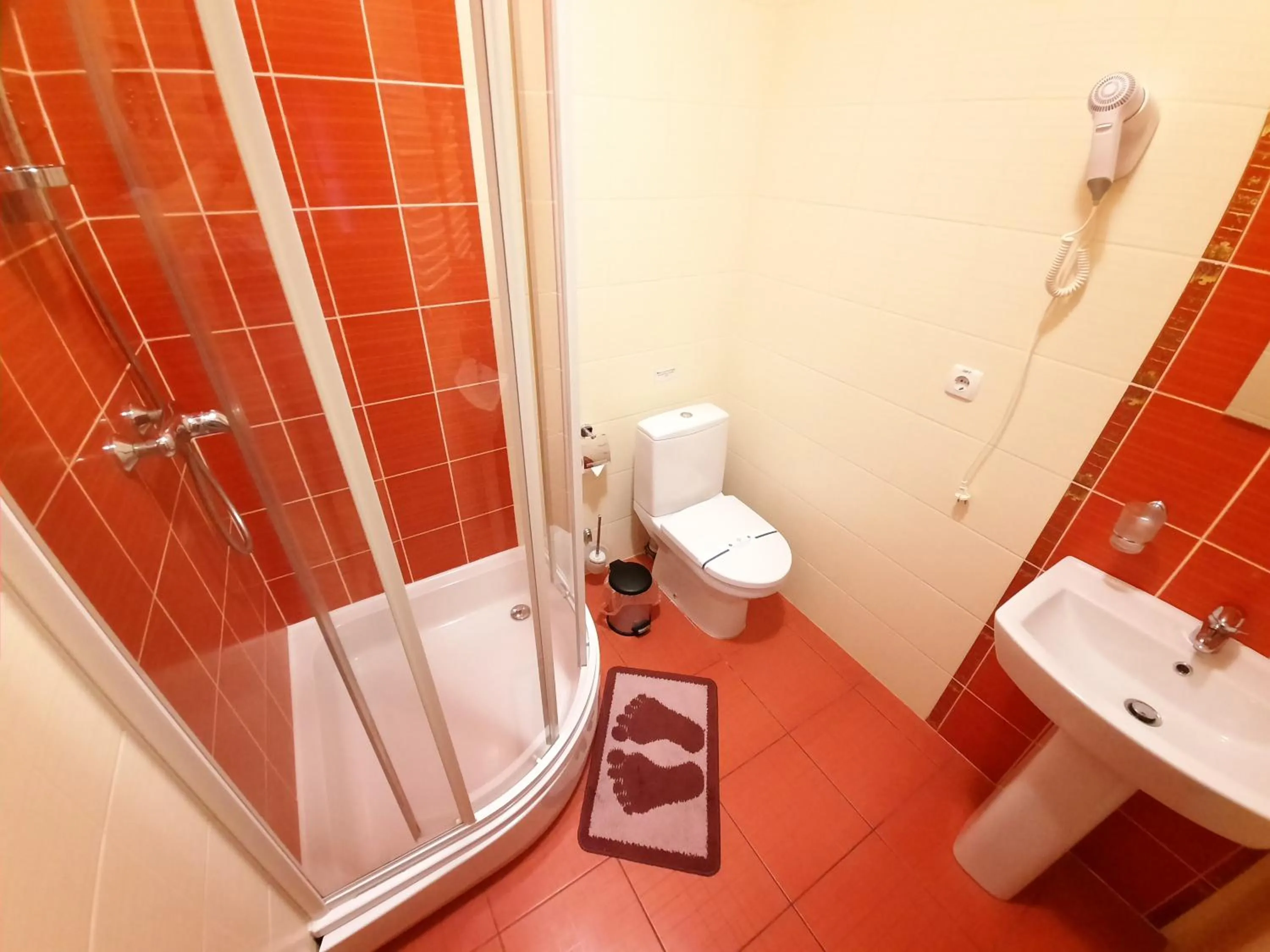 Bathroom in Tsvit Paporoti