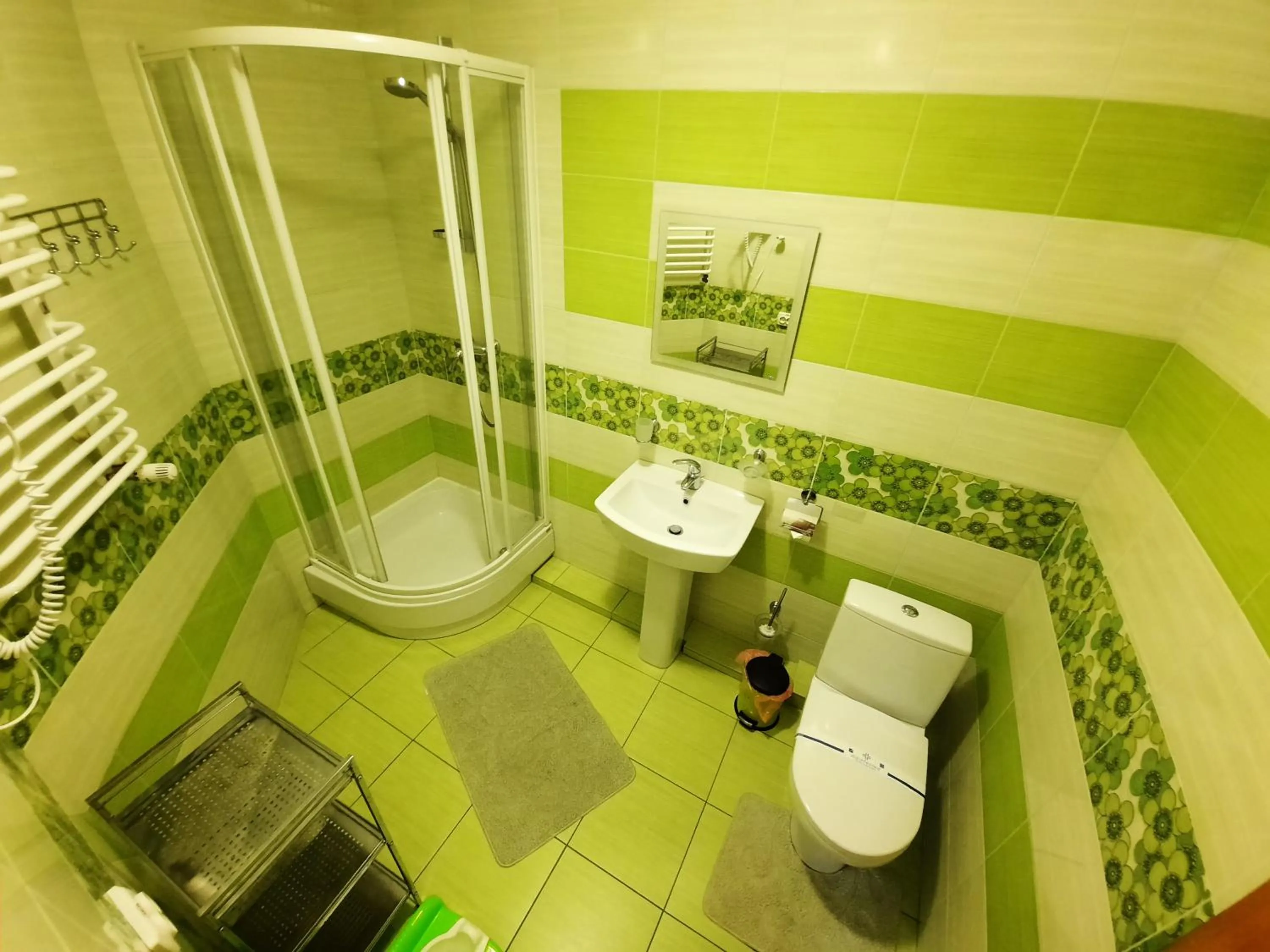 Bathroom in Tsvit Paporoti