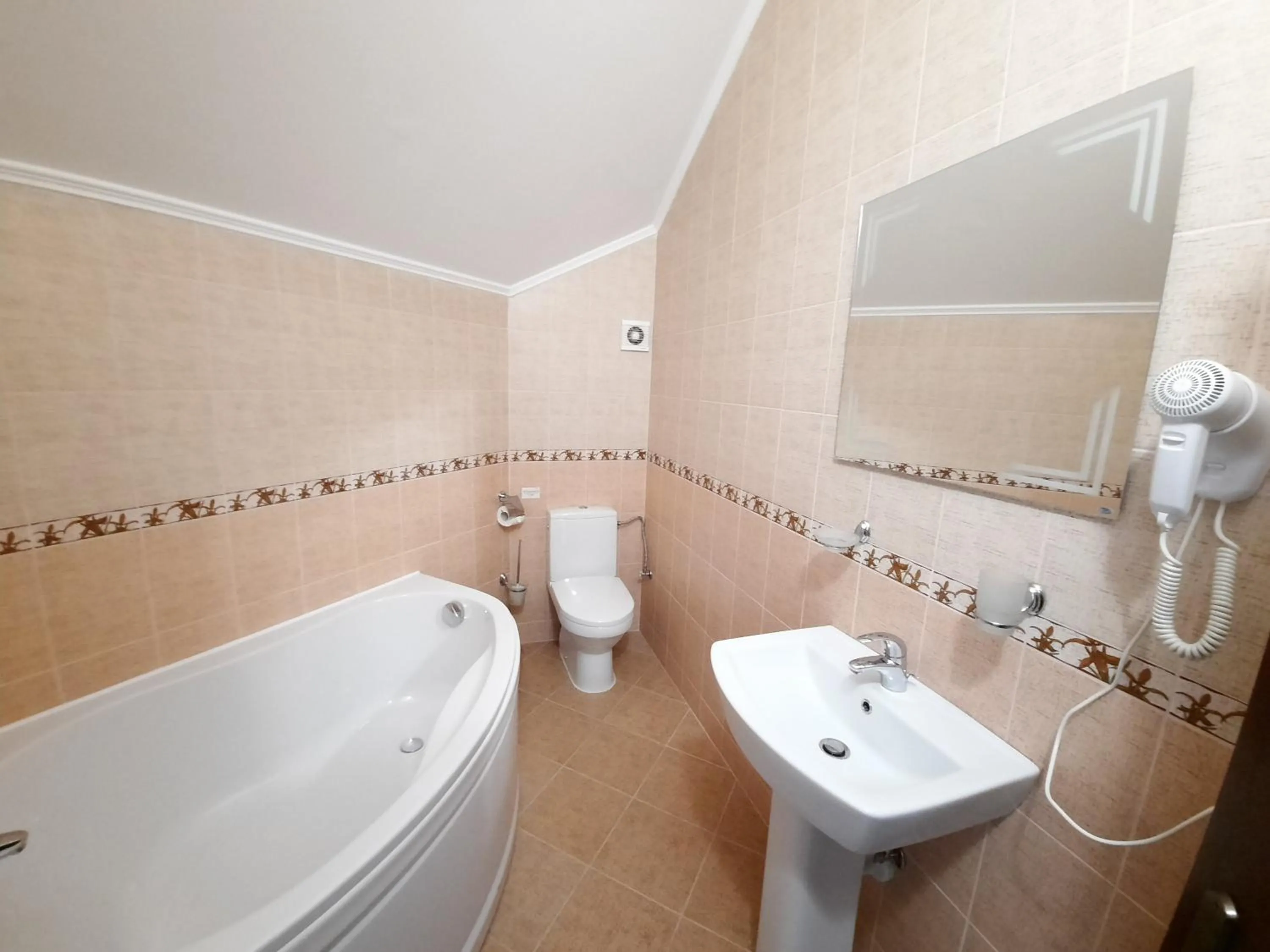 Bathroom in Tsvit Paporoti