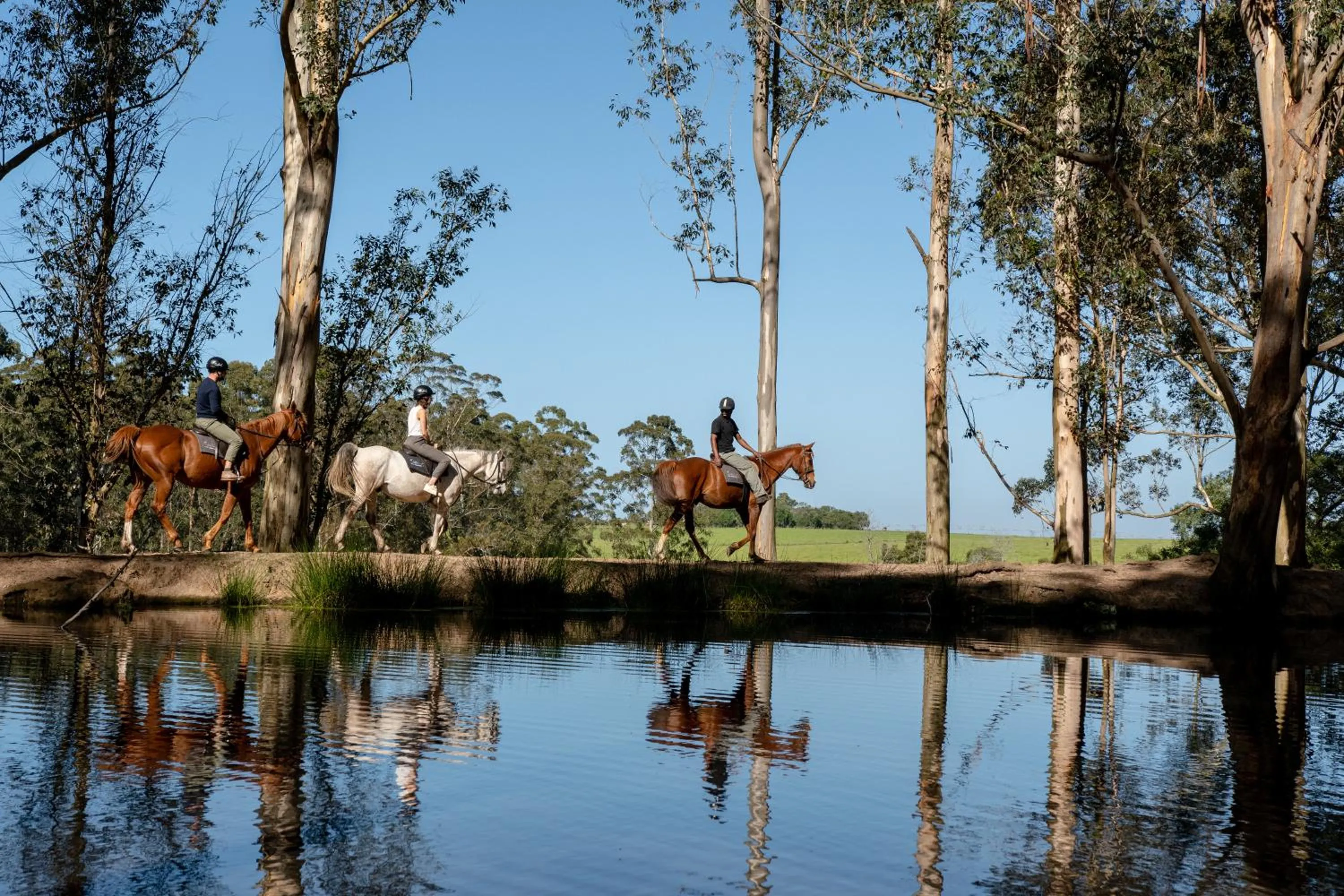 Natural landscape in AfriCamps at Oakhurst