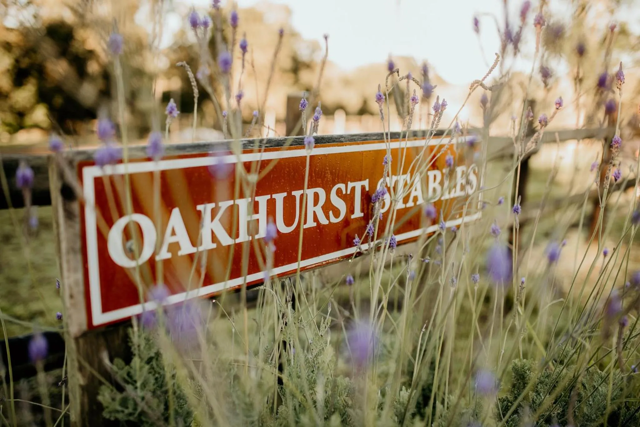 Horse-riding in AfriCamps at Oakhurst