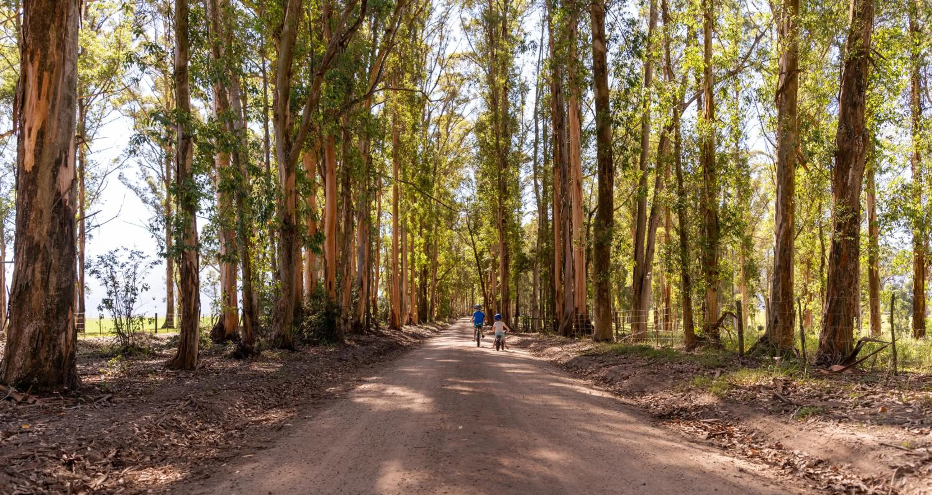 Natural landscape in AfriCamps at Oakhurst